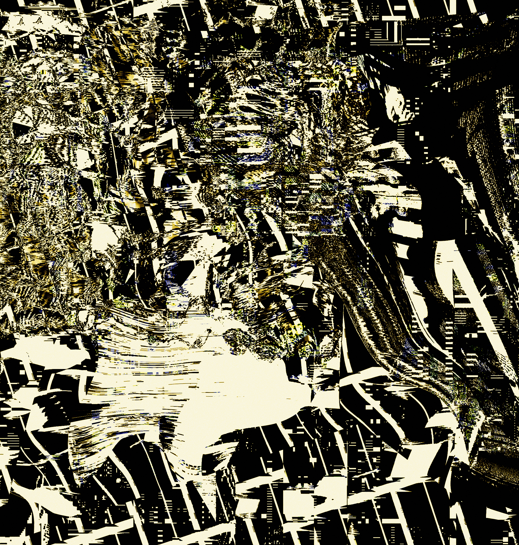 | T E N S O R | Foundation