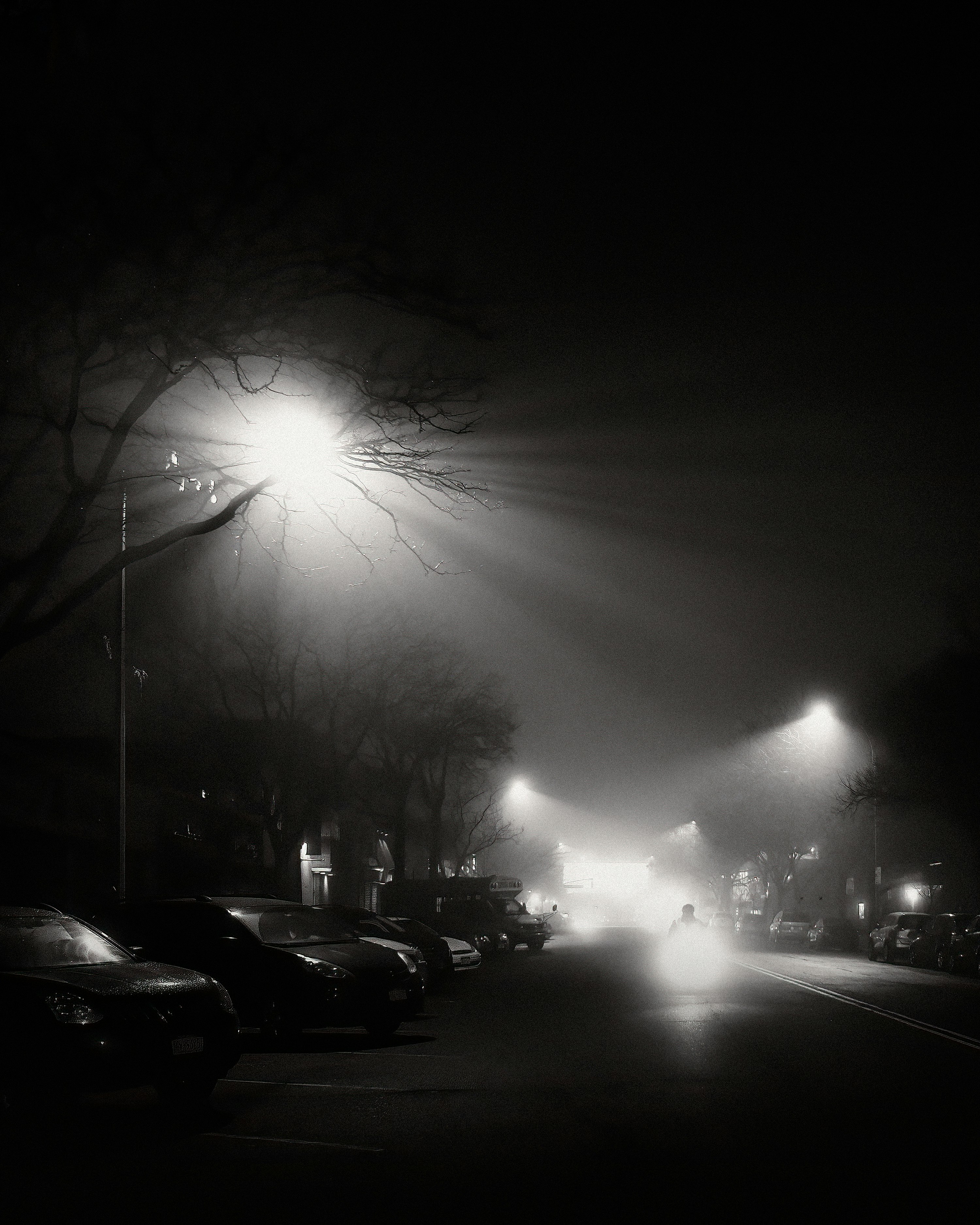 Night Fog