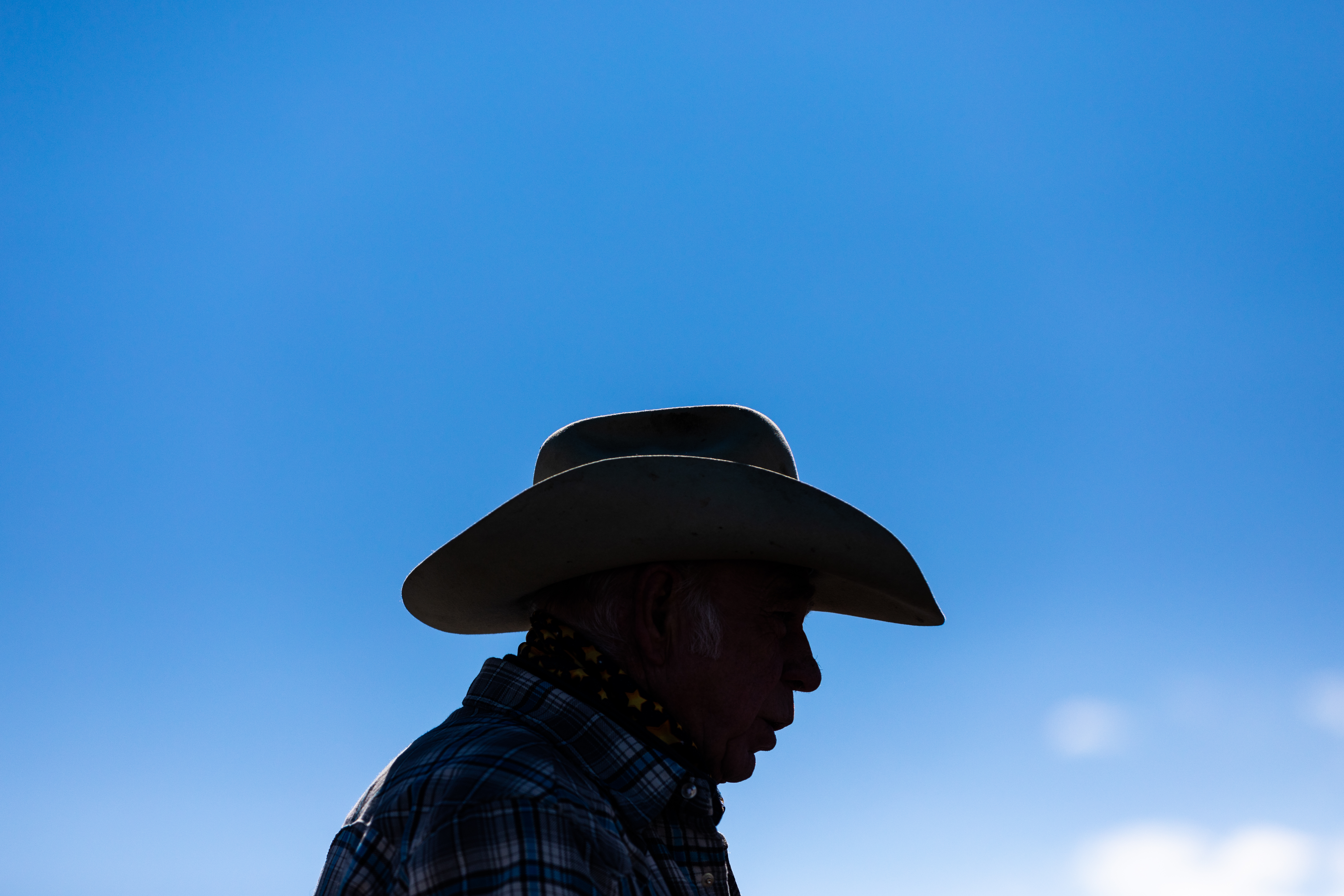 cutter chariot races