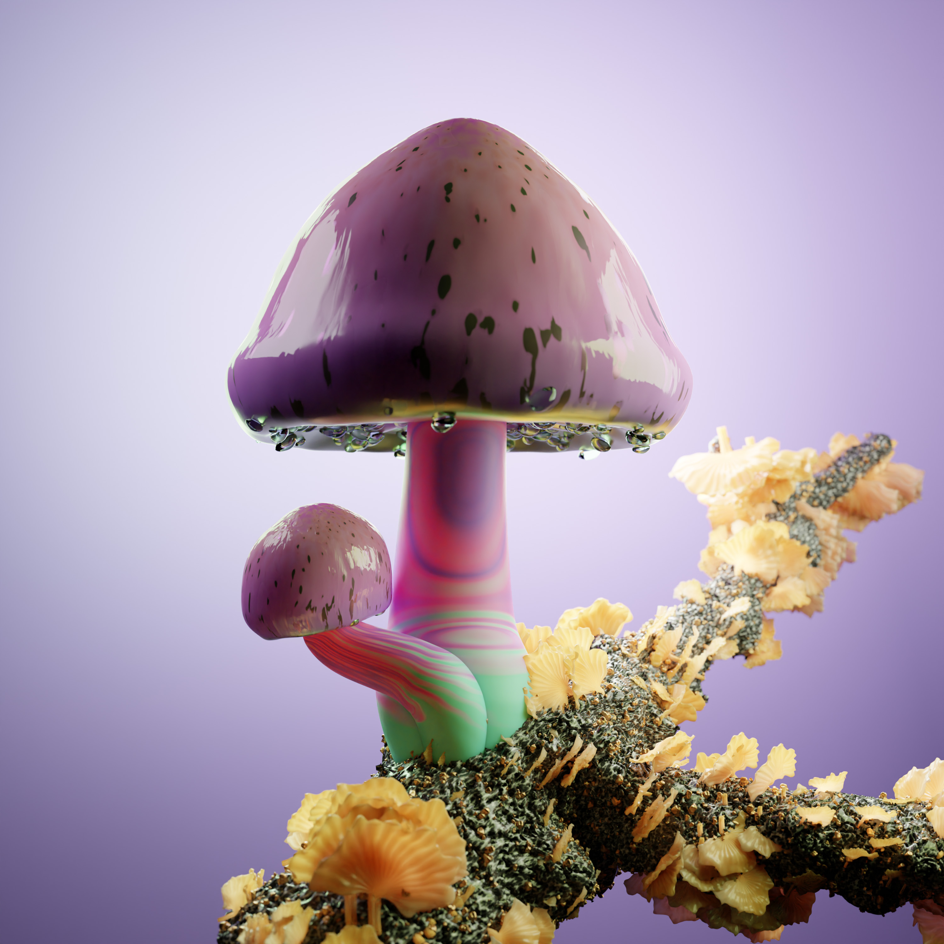 Rare Mushrooms | Foundation