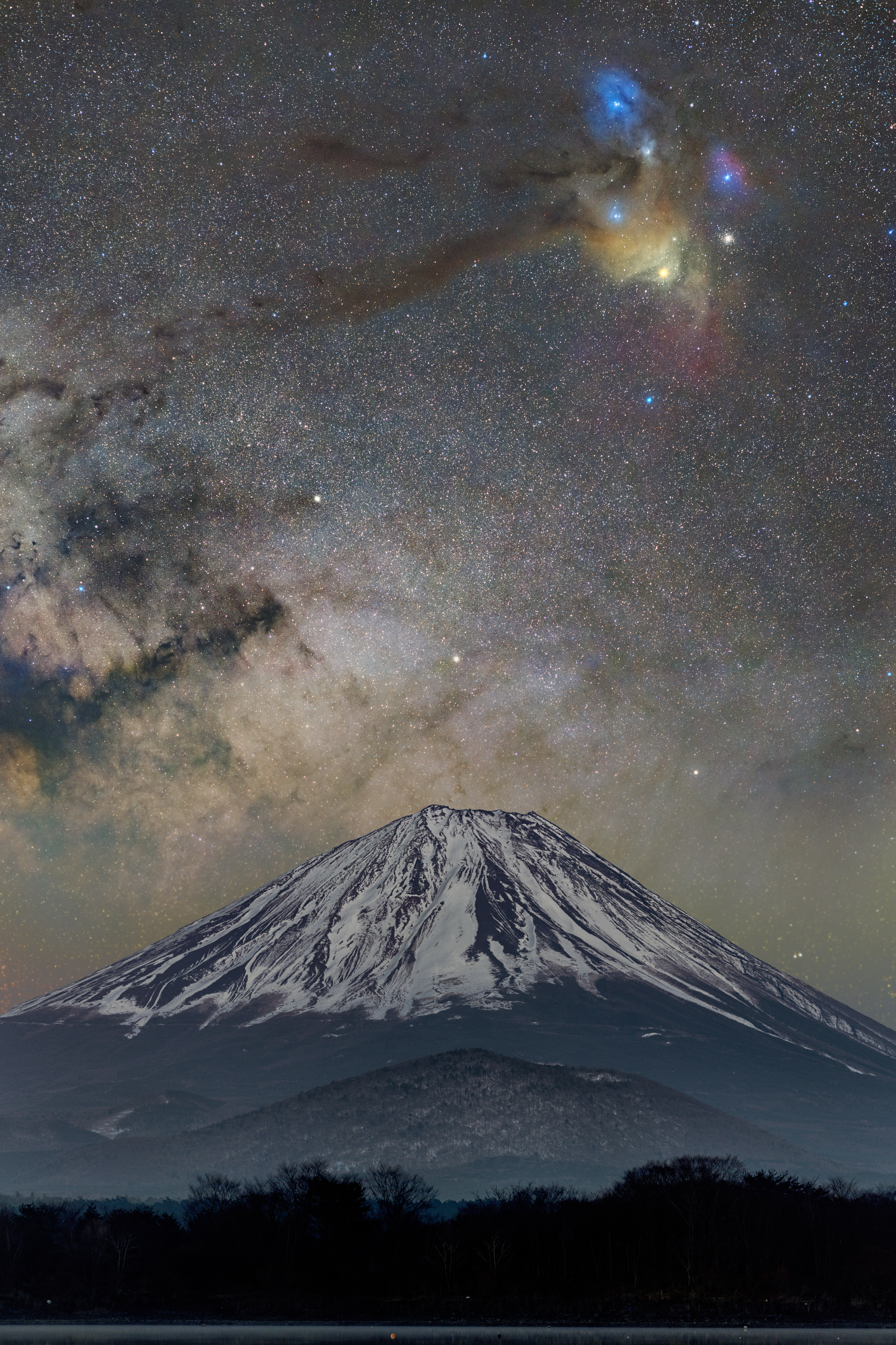 Phoenix over Mt.Fuji | Foundation