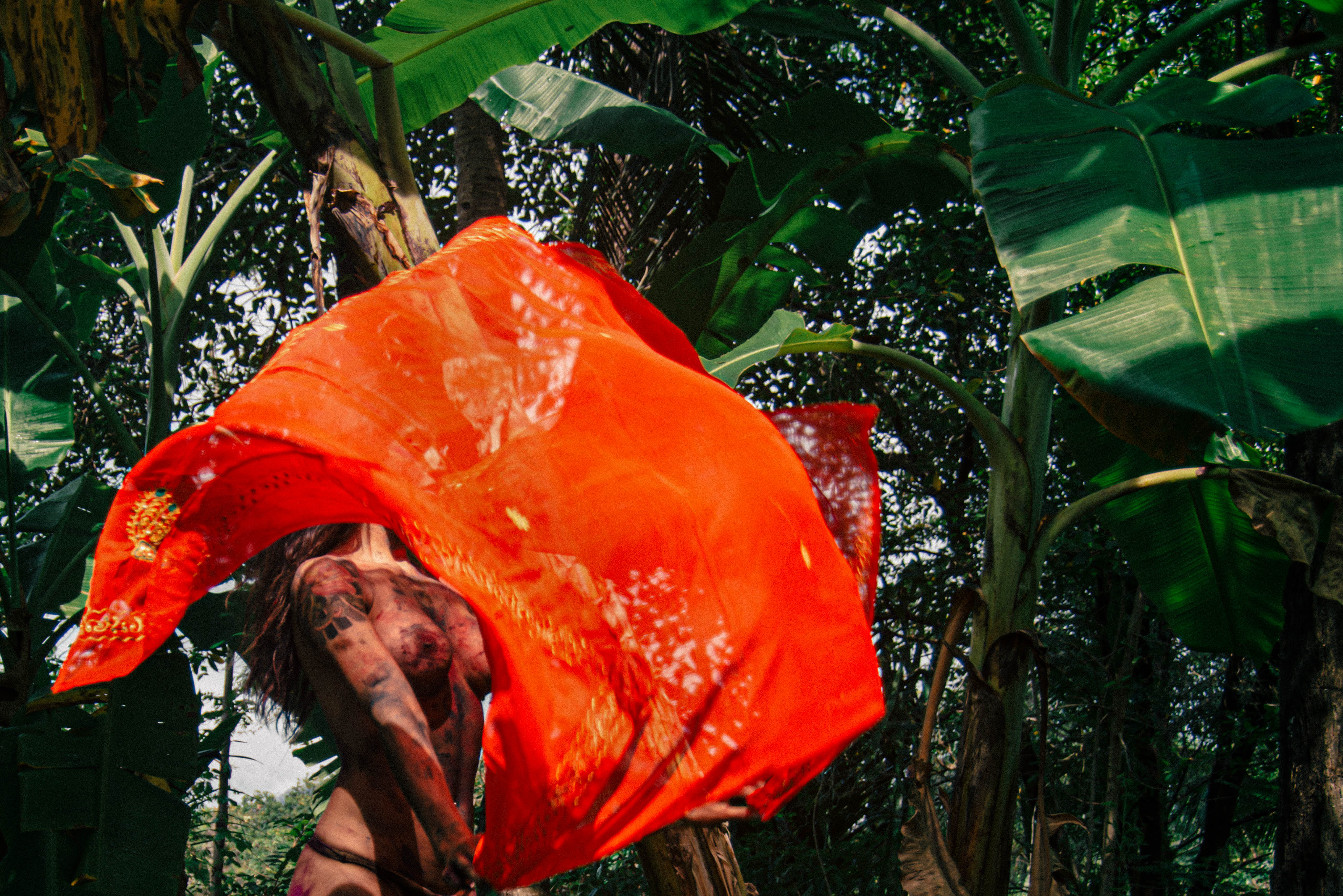 Jungle Queen 5 Foundation