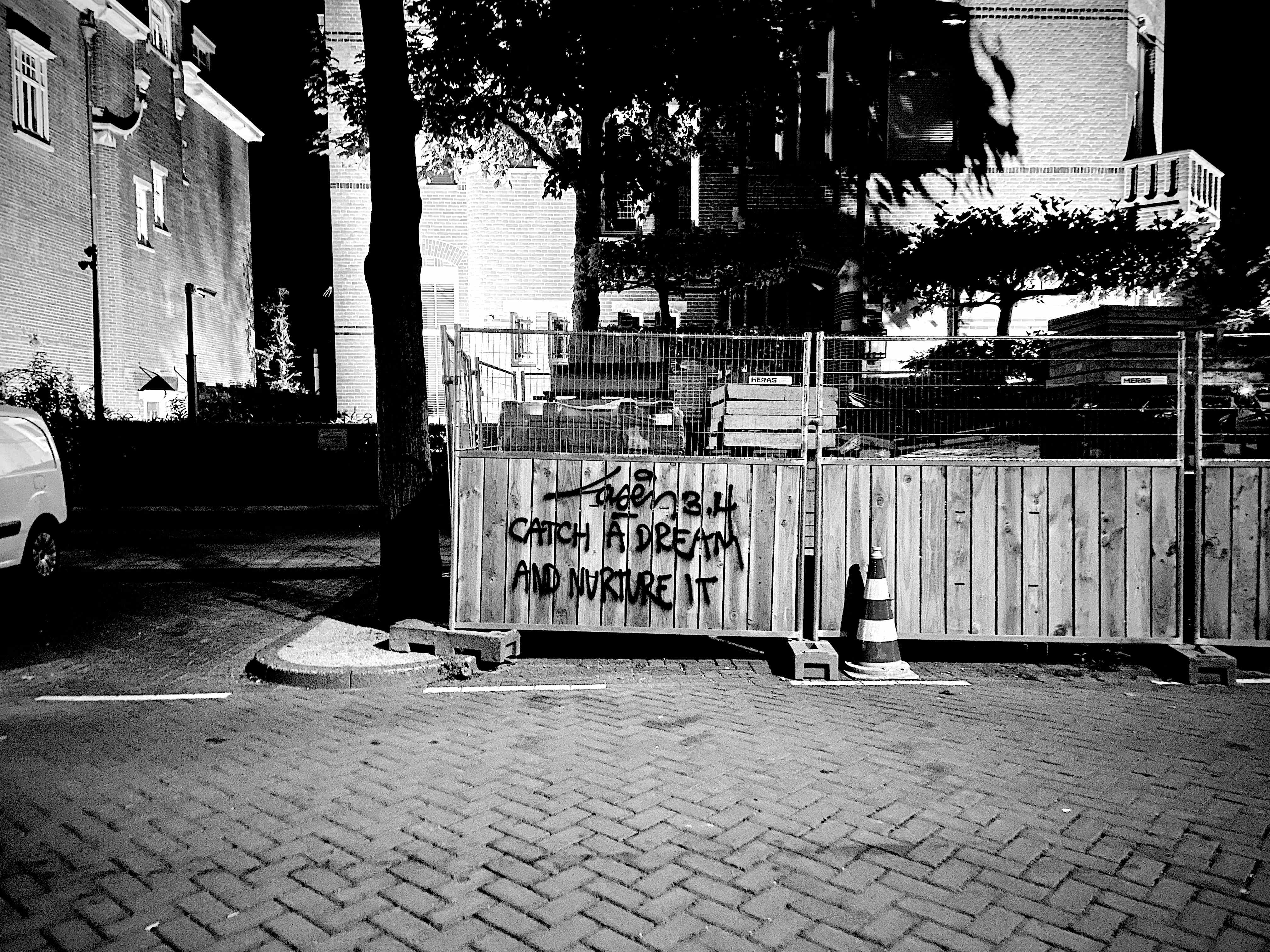 Laser 3.14 - Catch A Dream And Nurture It