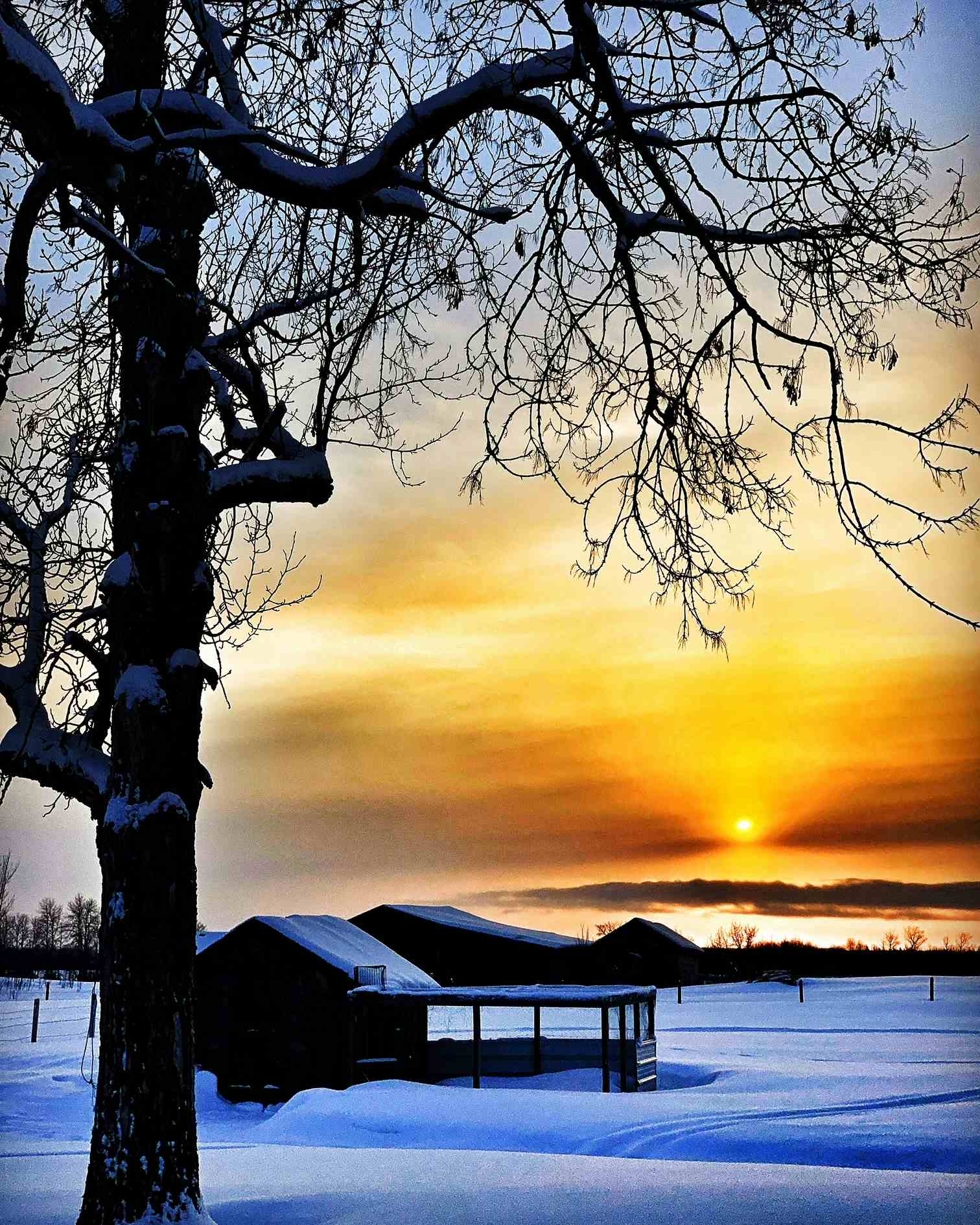 Late winter sunset