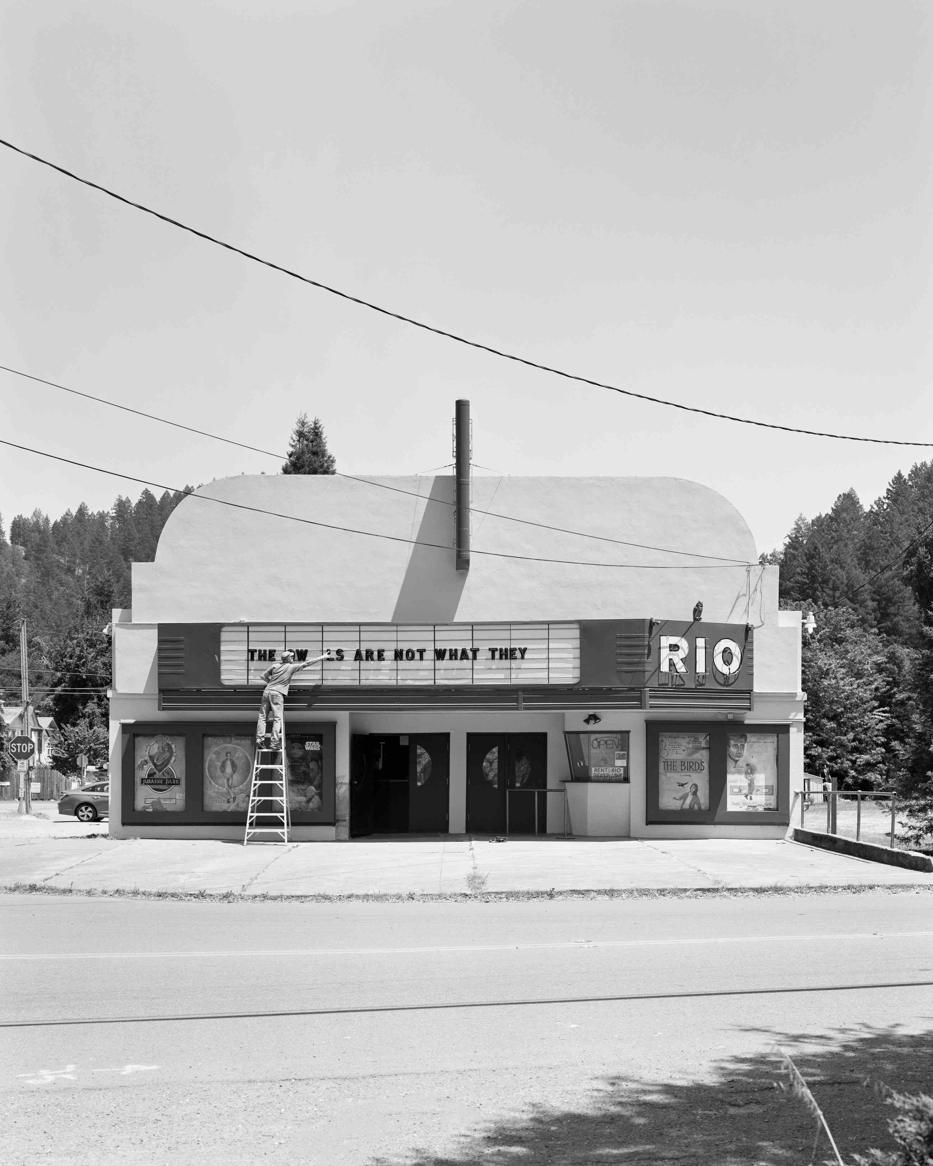 Parliament of Owls #31