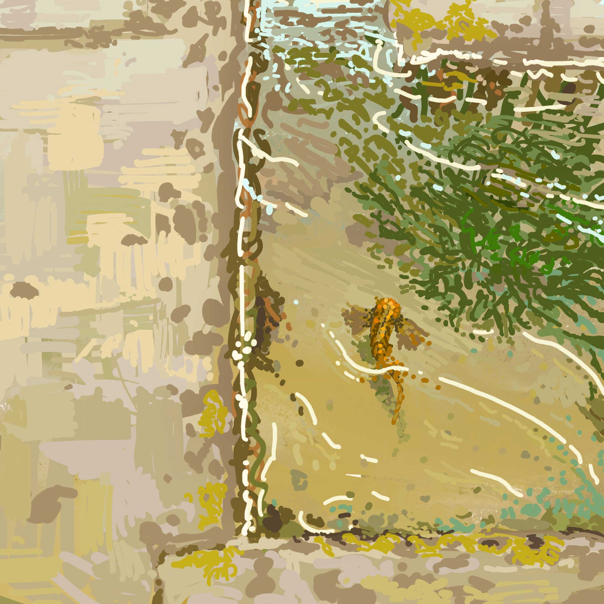 Digital Tide Pool Foundation