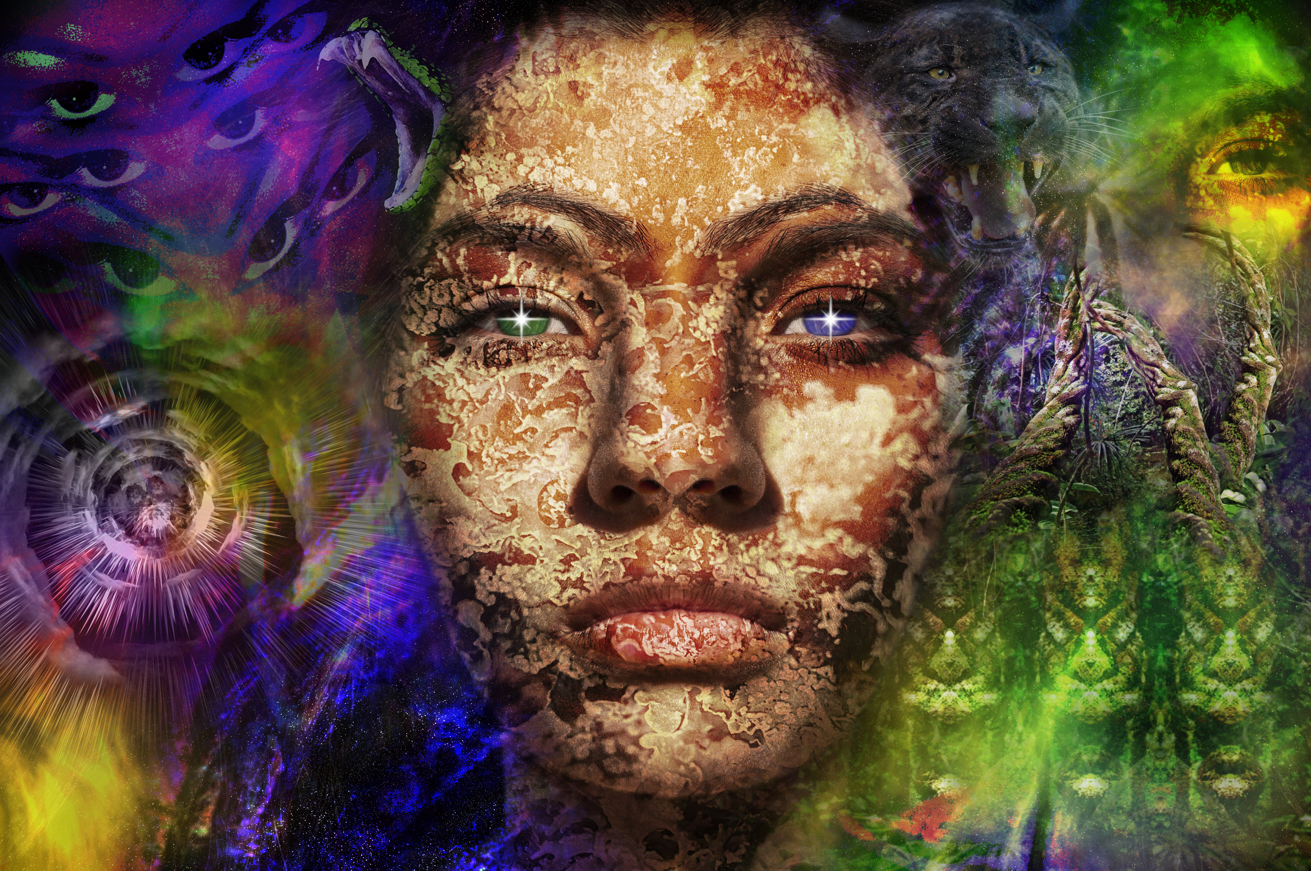 Mother Ayahuasca Foundation