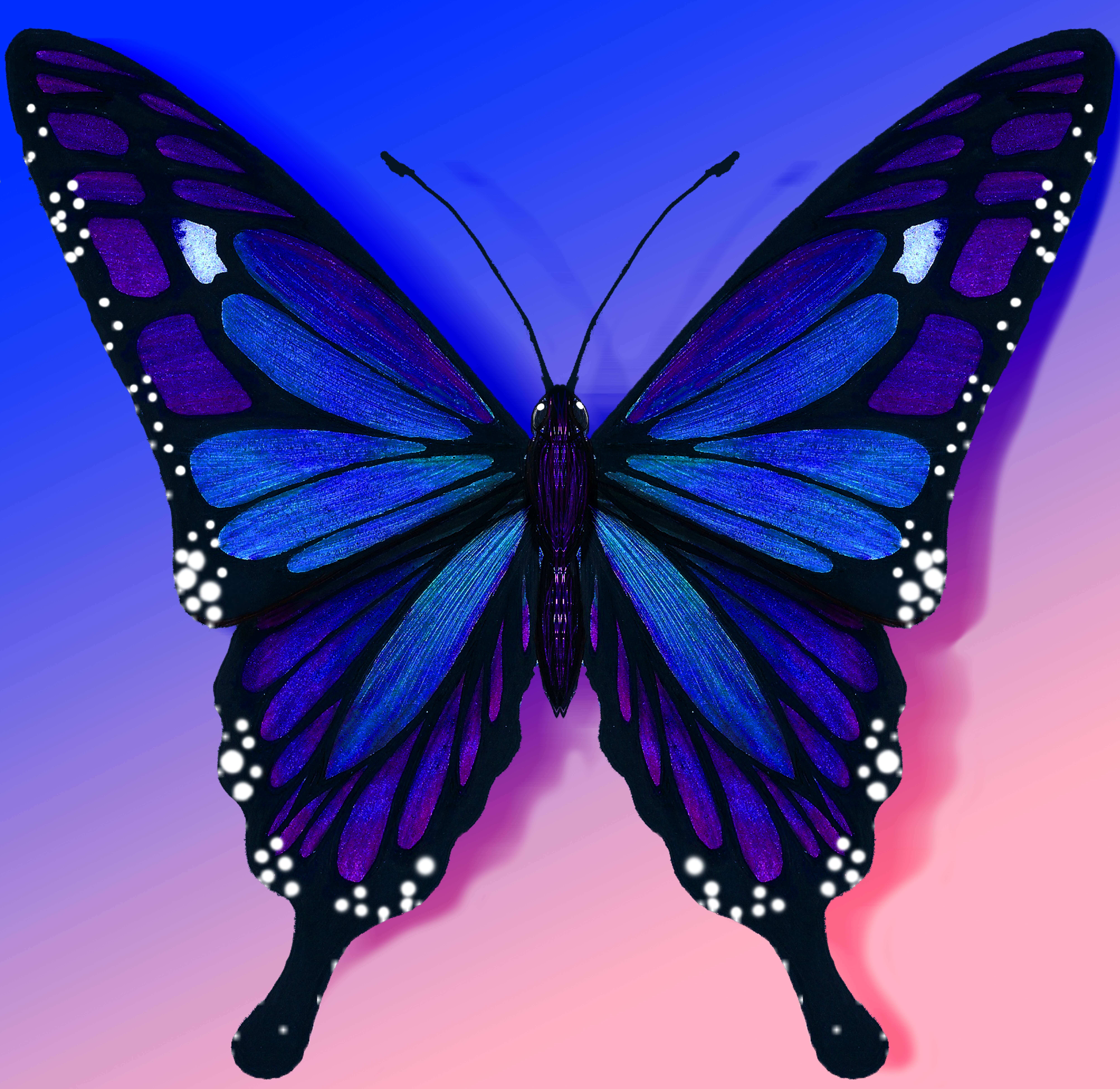 Star light icy blast