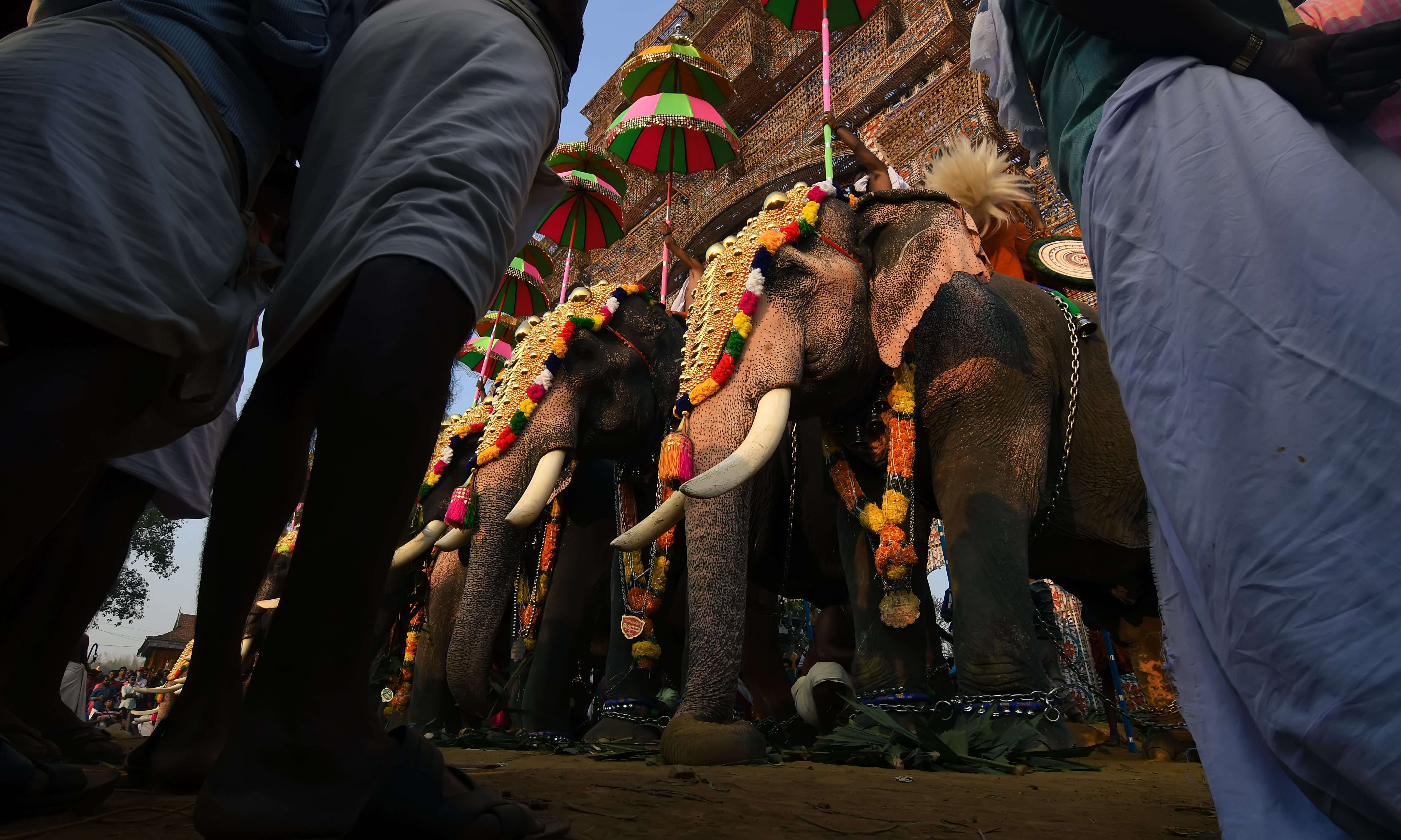 PERSPECTIVE-POORAM