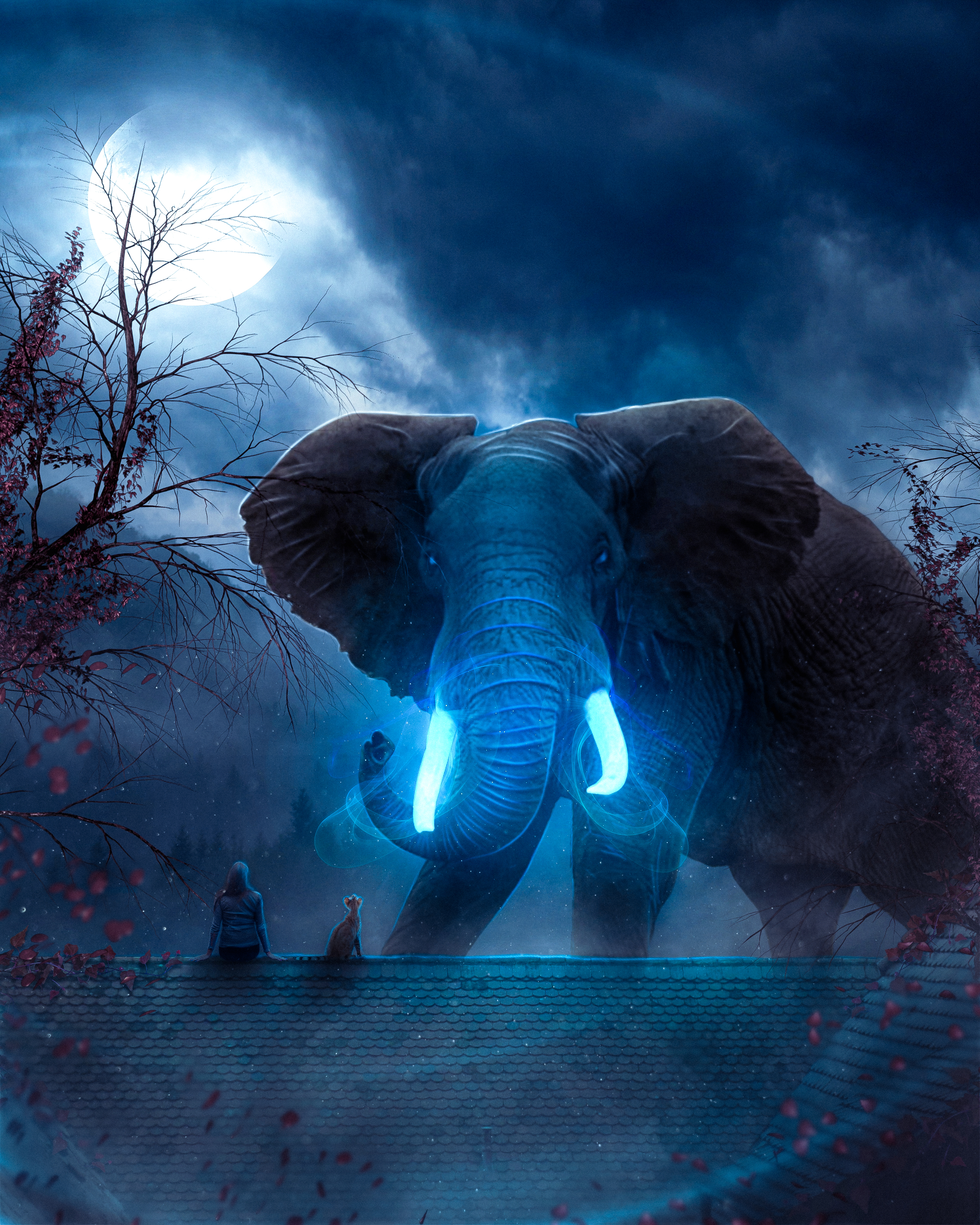 ◆BLUE ELEPHANT◆ DIGIN black Blue Elephant- DIGIN black – Danzzac