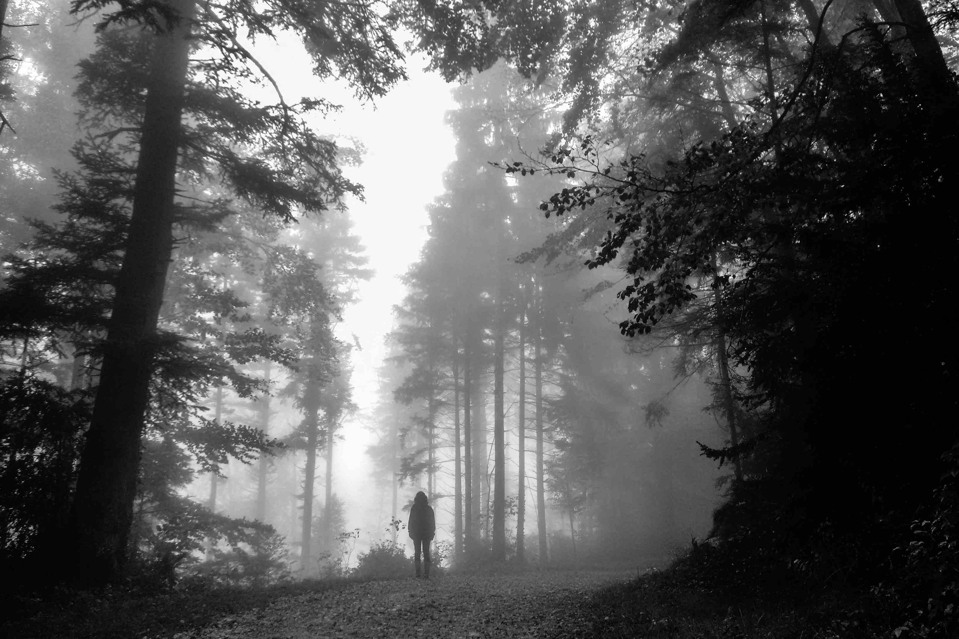 The Girl and the Fog