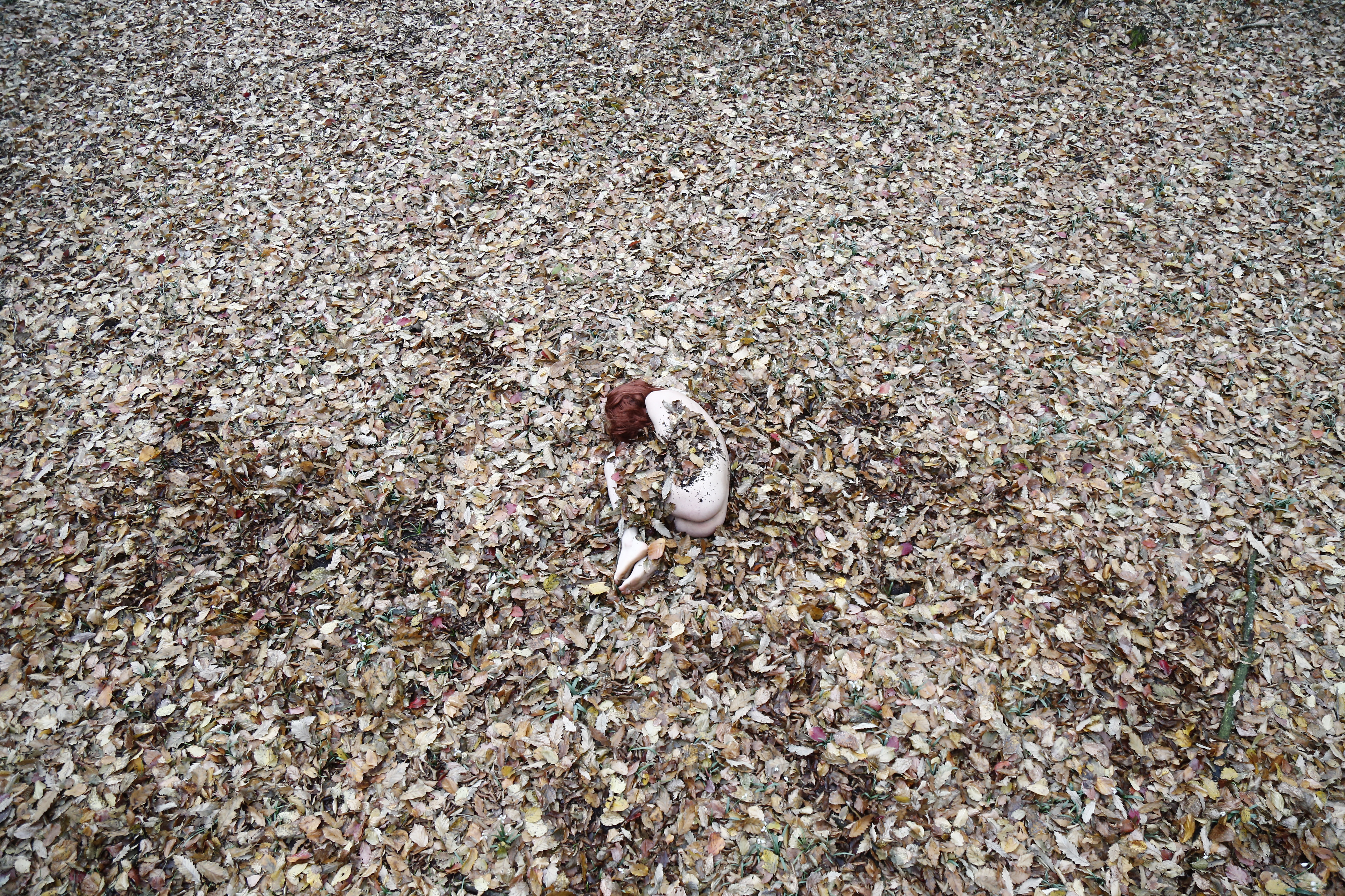 Bloody Birth (Orginal)