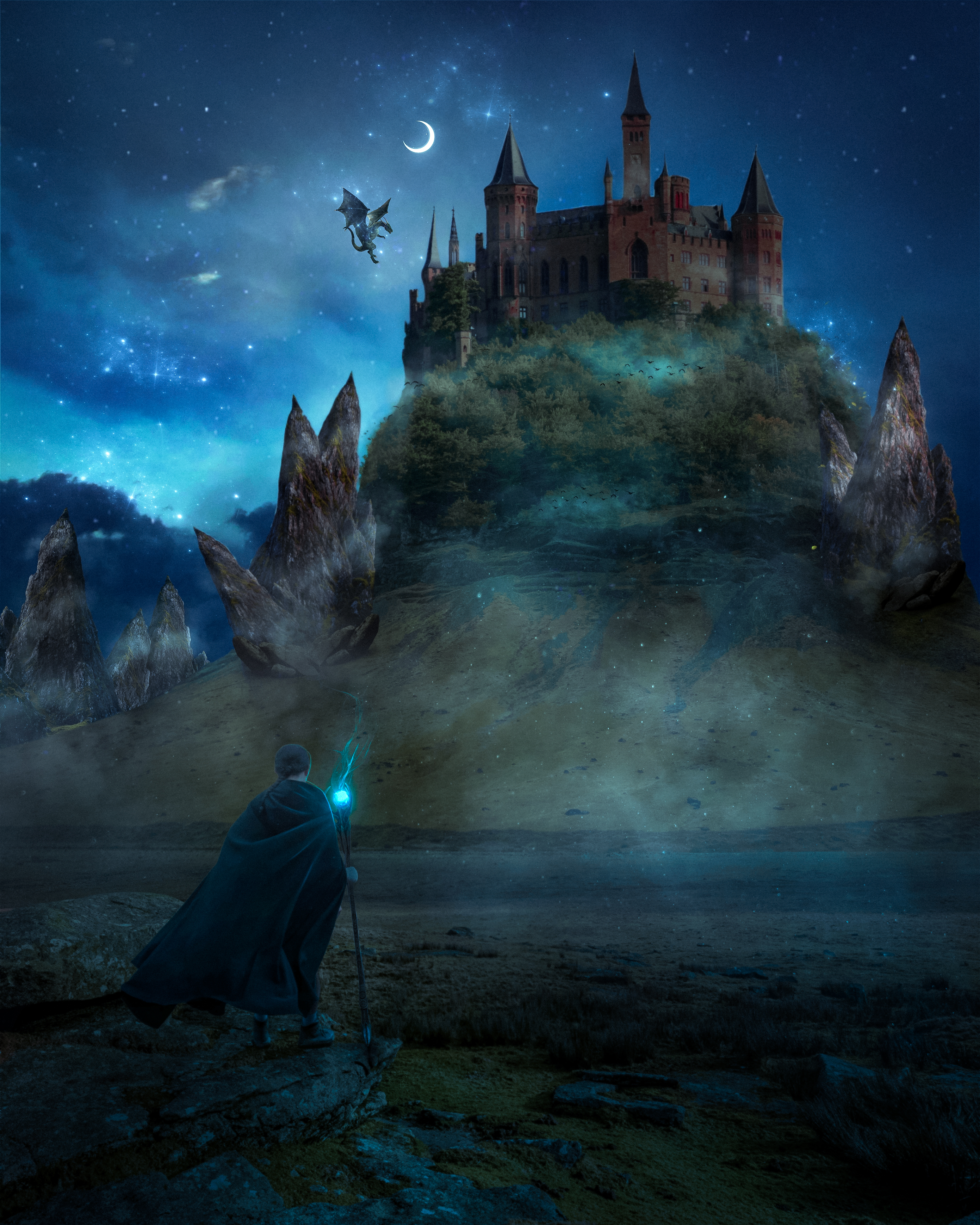 THE ENCHANTED CASTLE