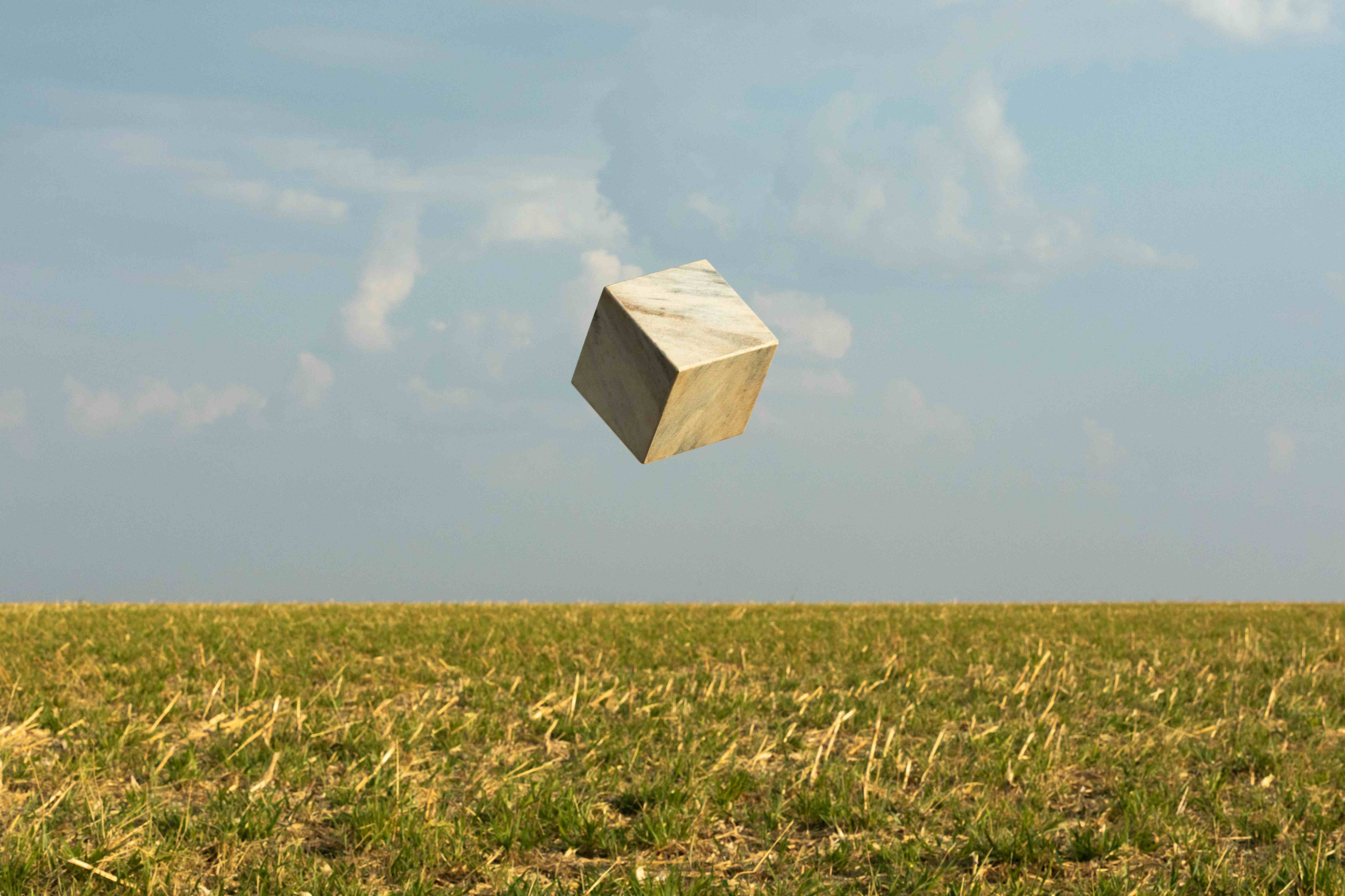 Tudo que e solido...(mato crescendo antes da soja)