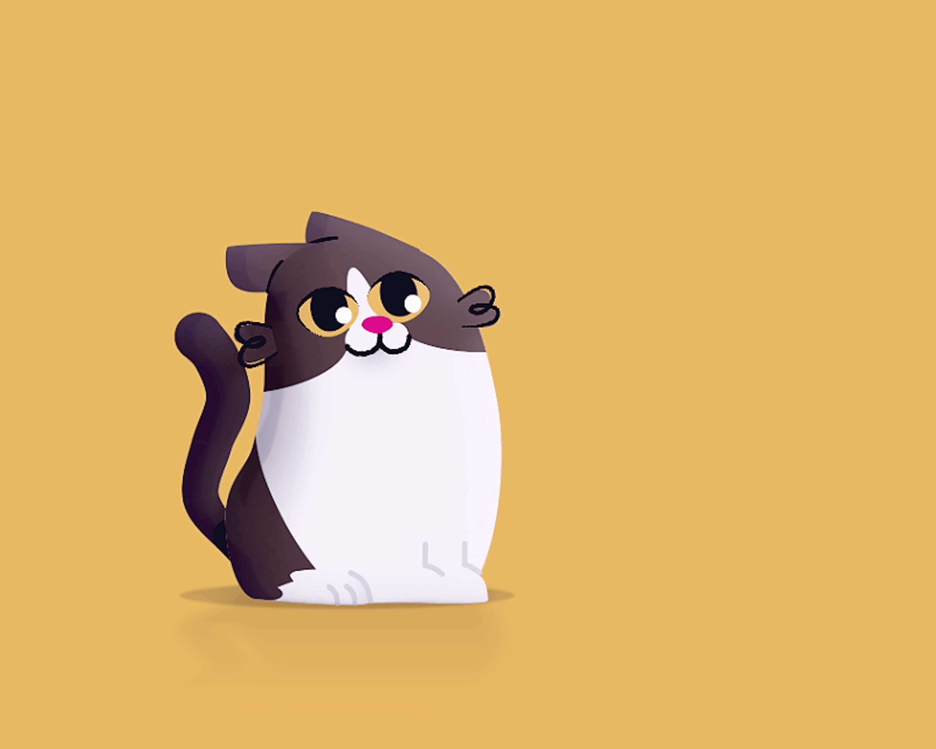 happy cat gif animated