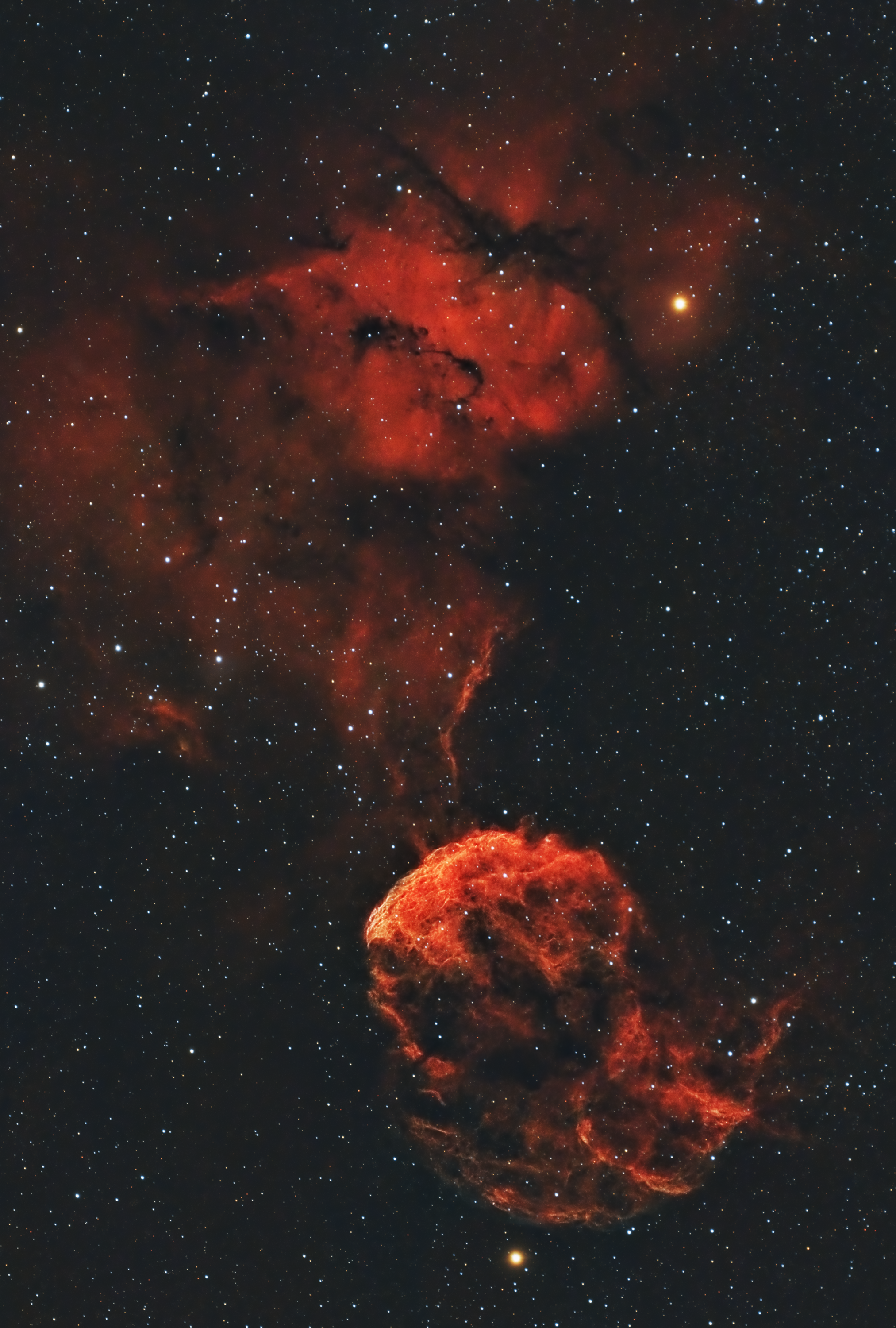 限定値下！！新品未開封☆NEBULA BRIGHT IMAGE SEAMLESS Coyote Head Nebula Does Not Approve