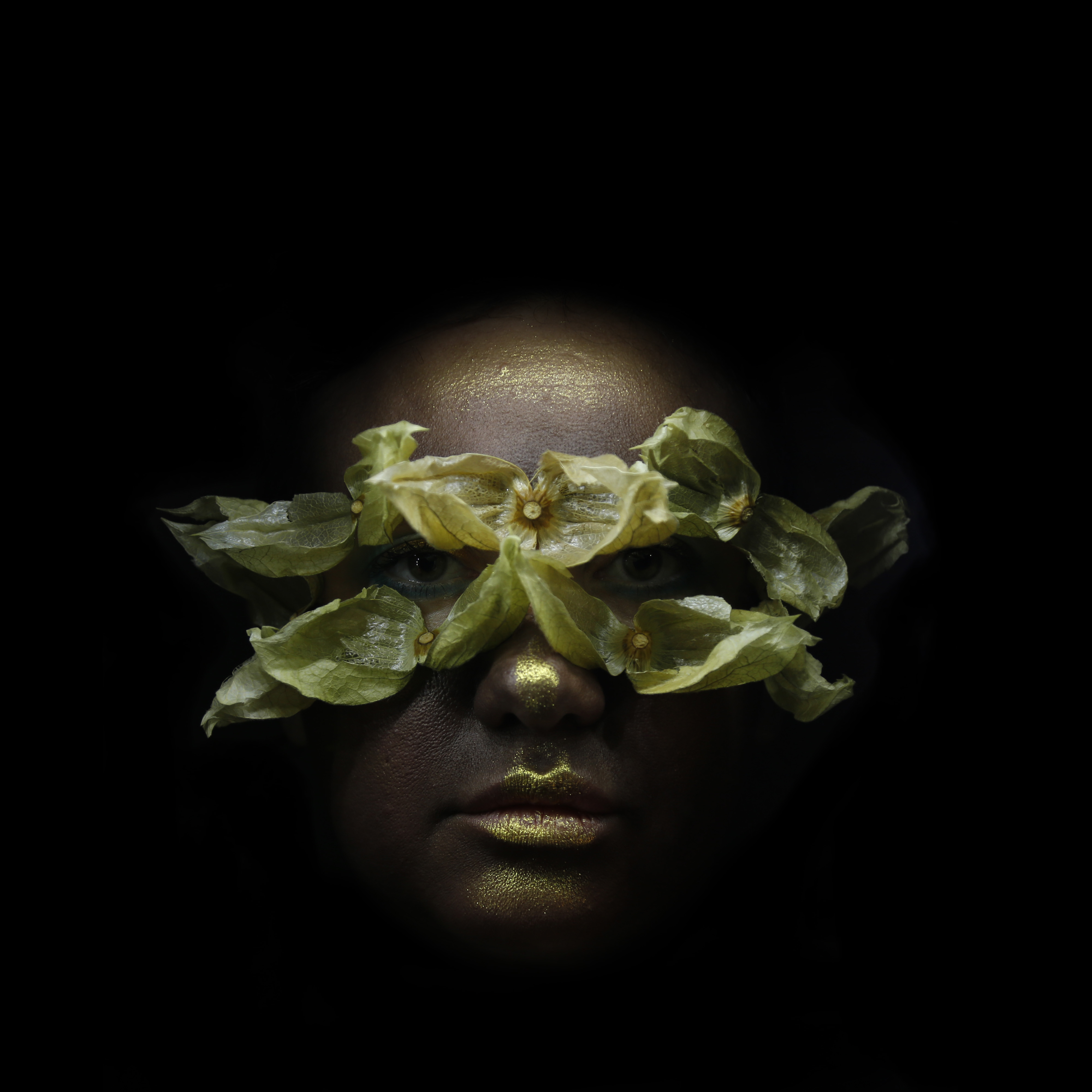 Metamorphosis of Darkness