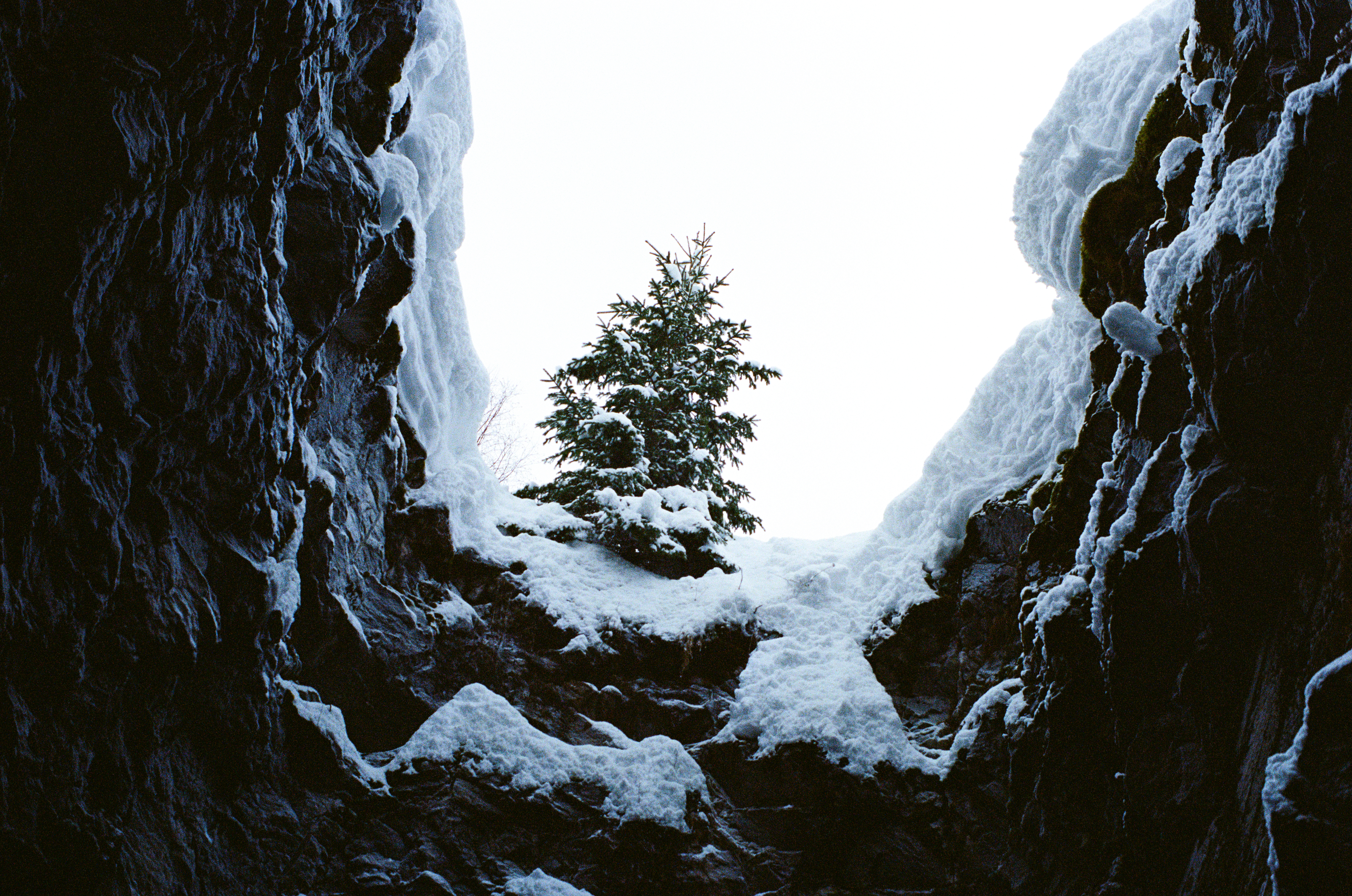 View from the canyon