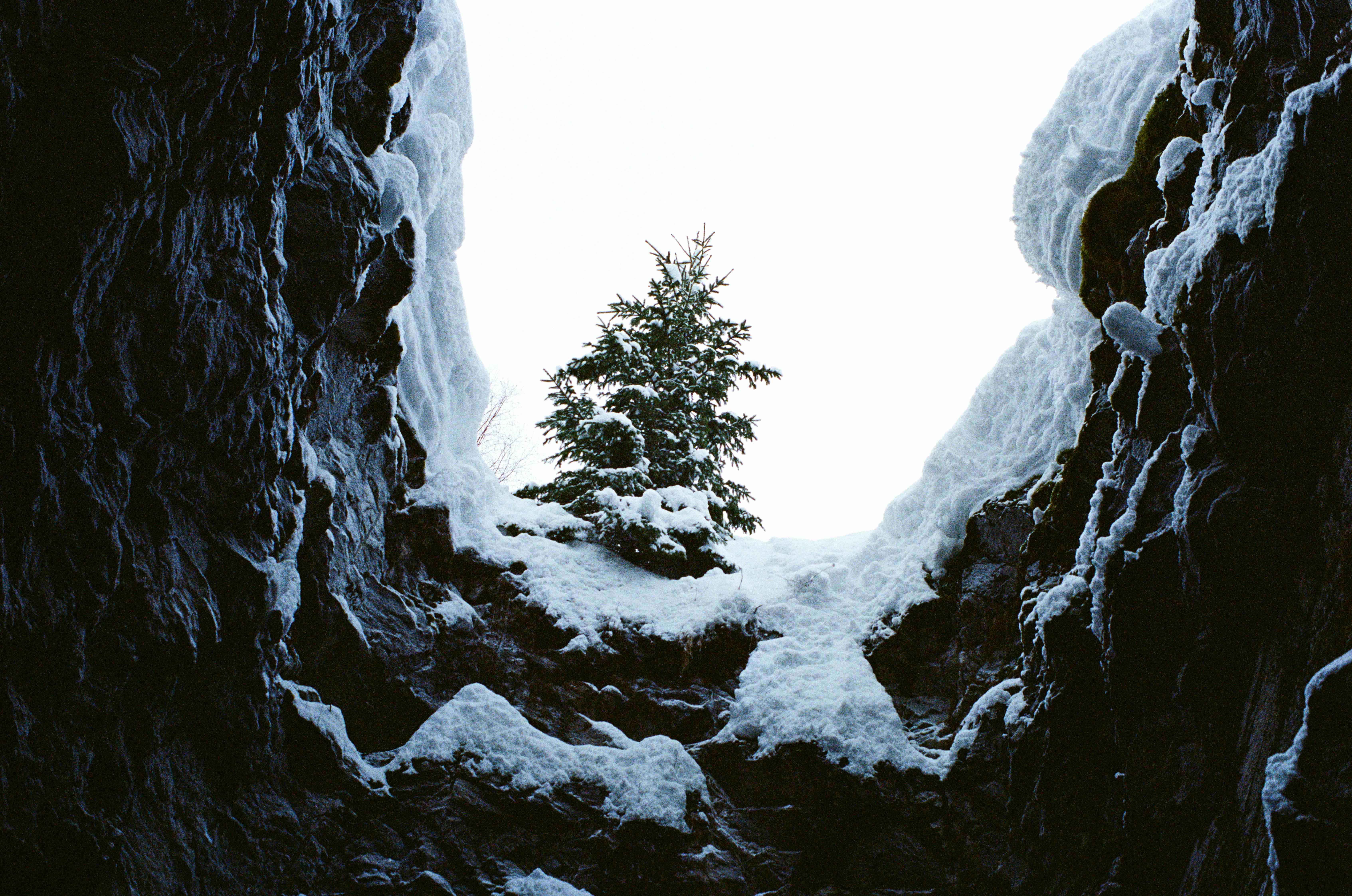 View from the canyon