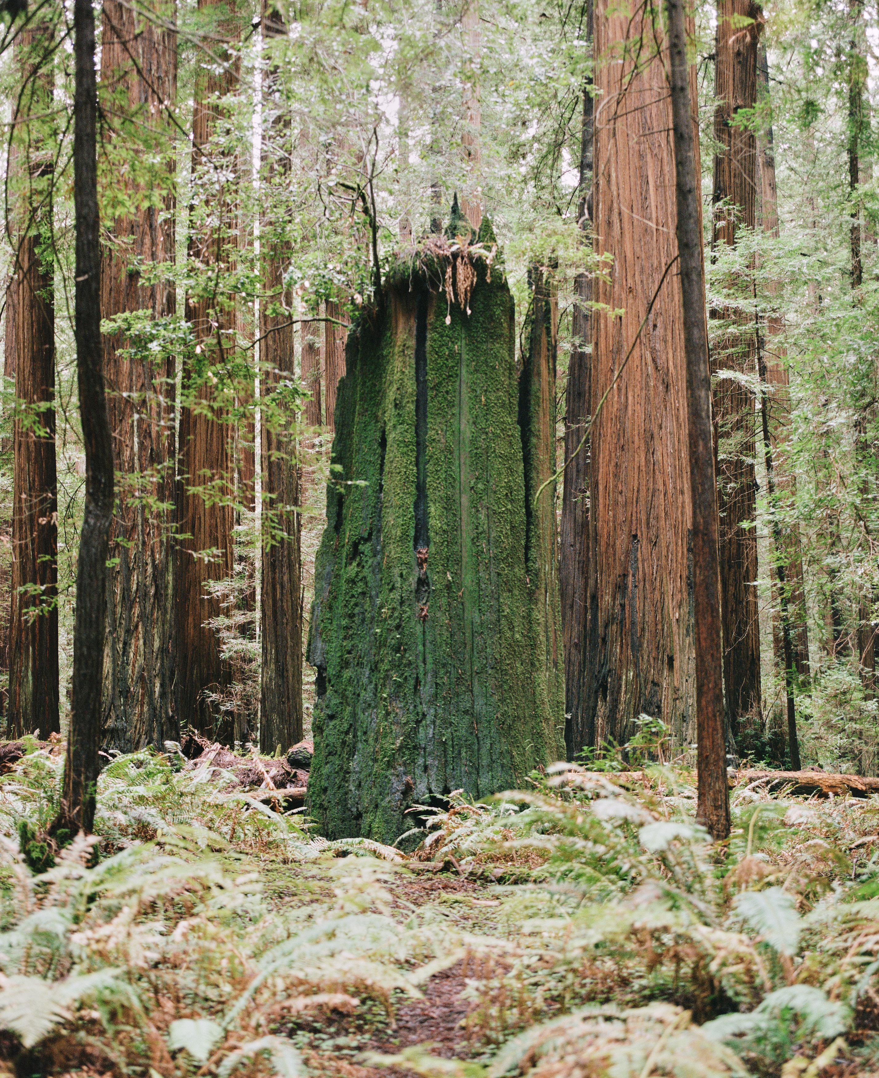 Places Along the Way #10