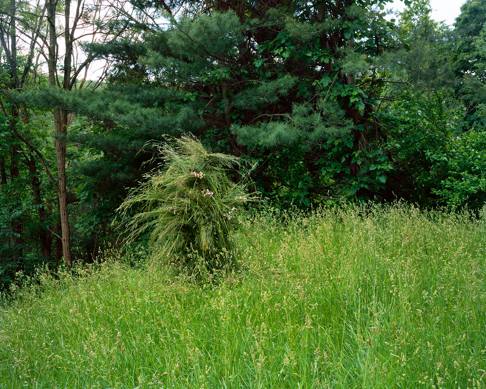 Ghillie Suit (Grass) by Jeremy Chandler
