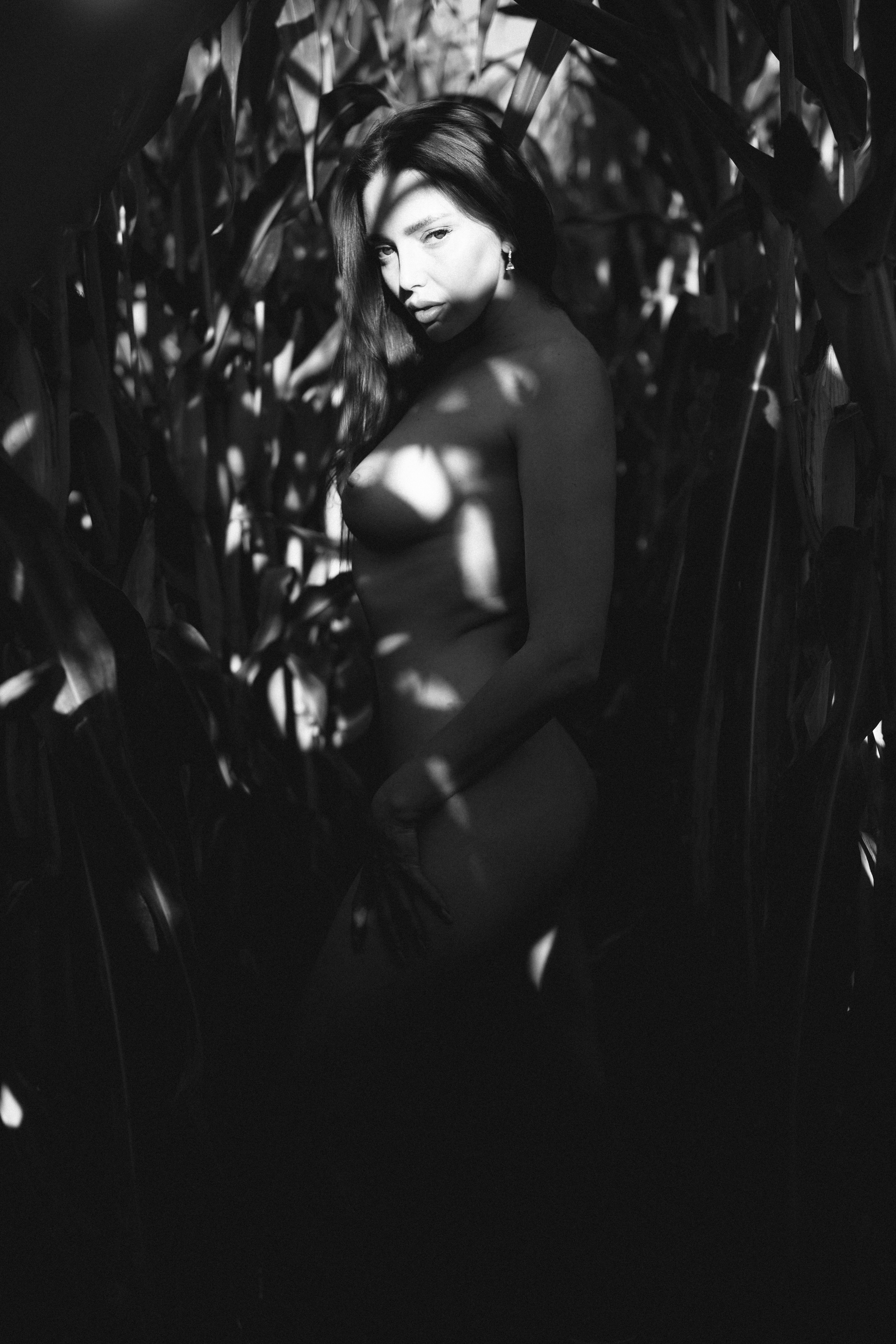 A summer day in the corn field. 