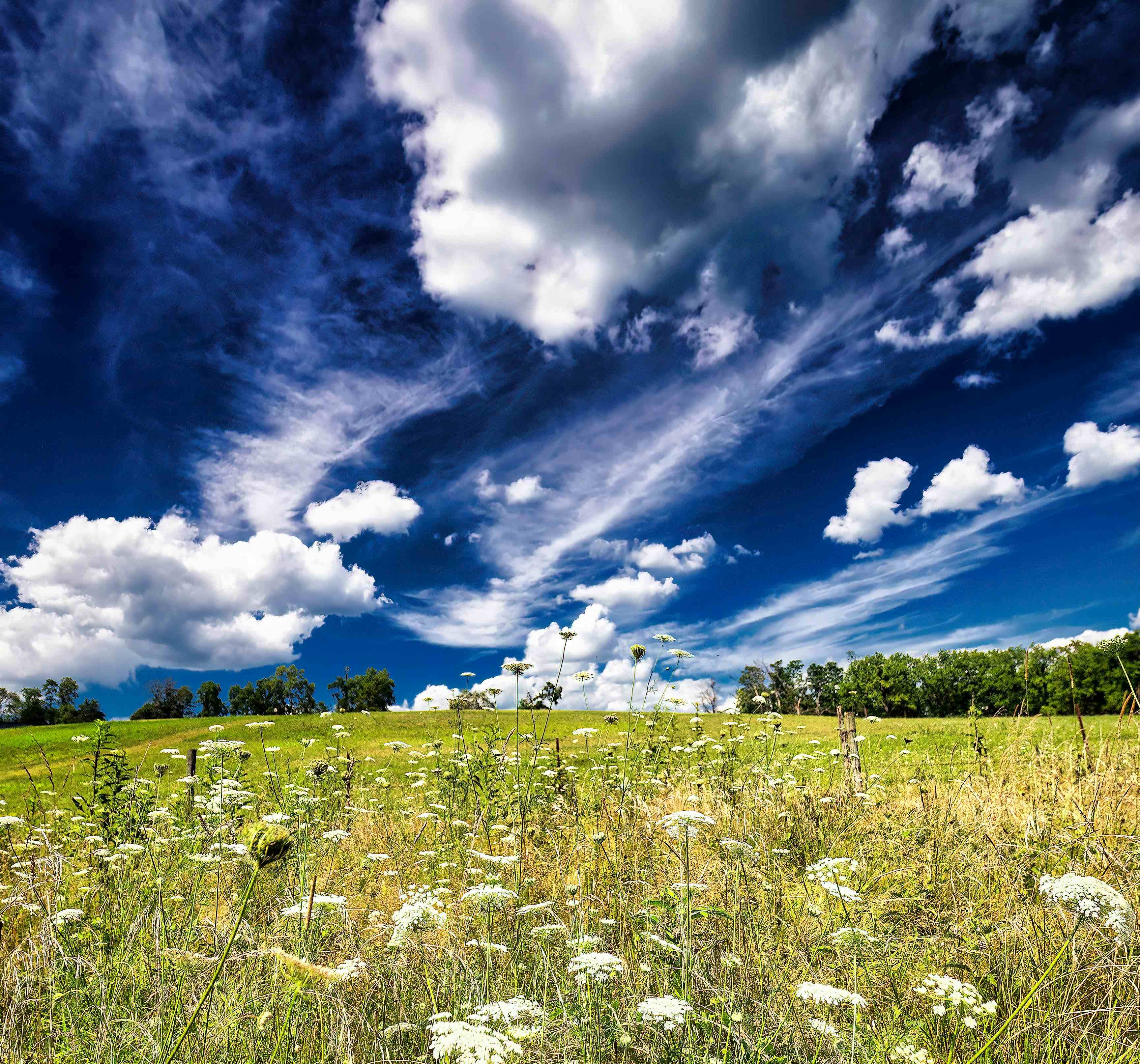 Perfect Summer Afternoon