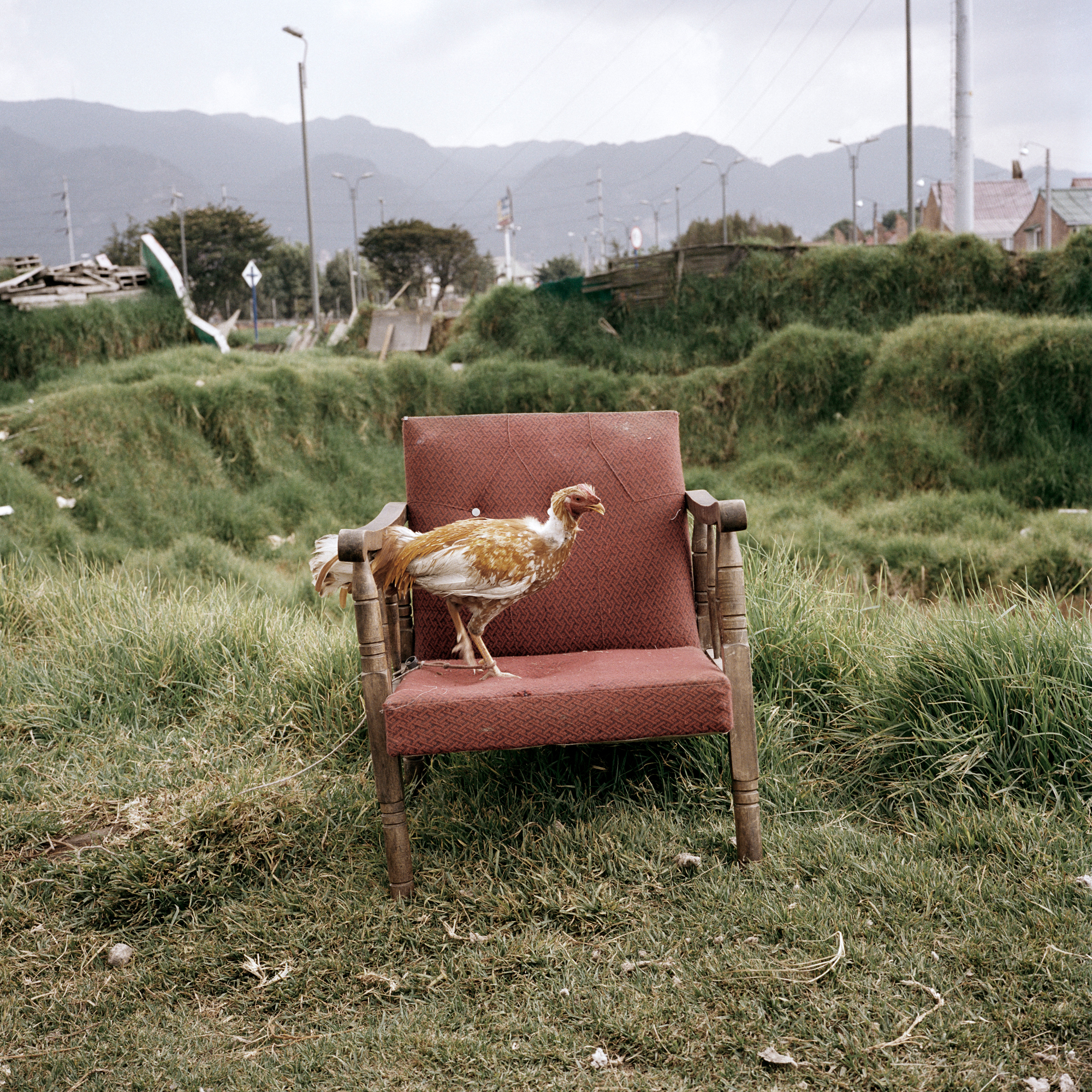 ALEC SOTH Bogota Funsaver オリジナルプリント付き