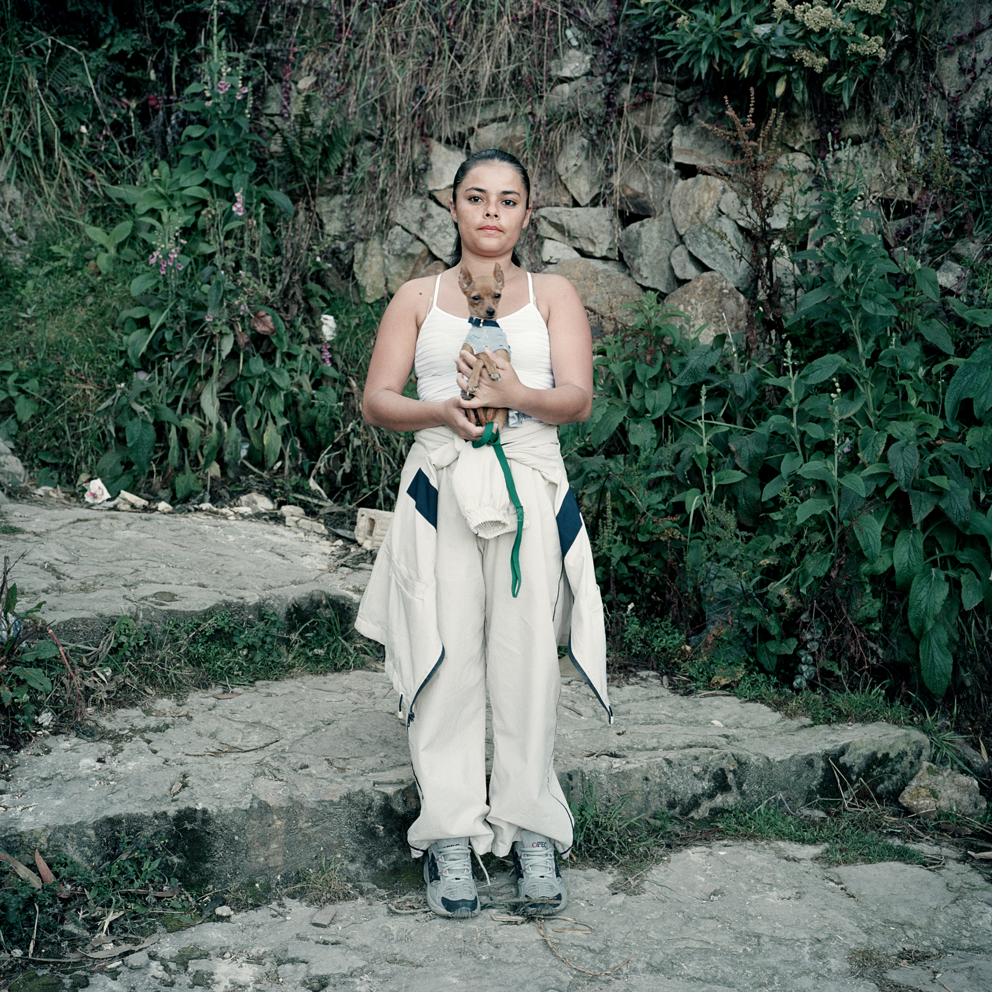 写真集 Alec Soth Dog Days Bogota アレック ソス 希少