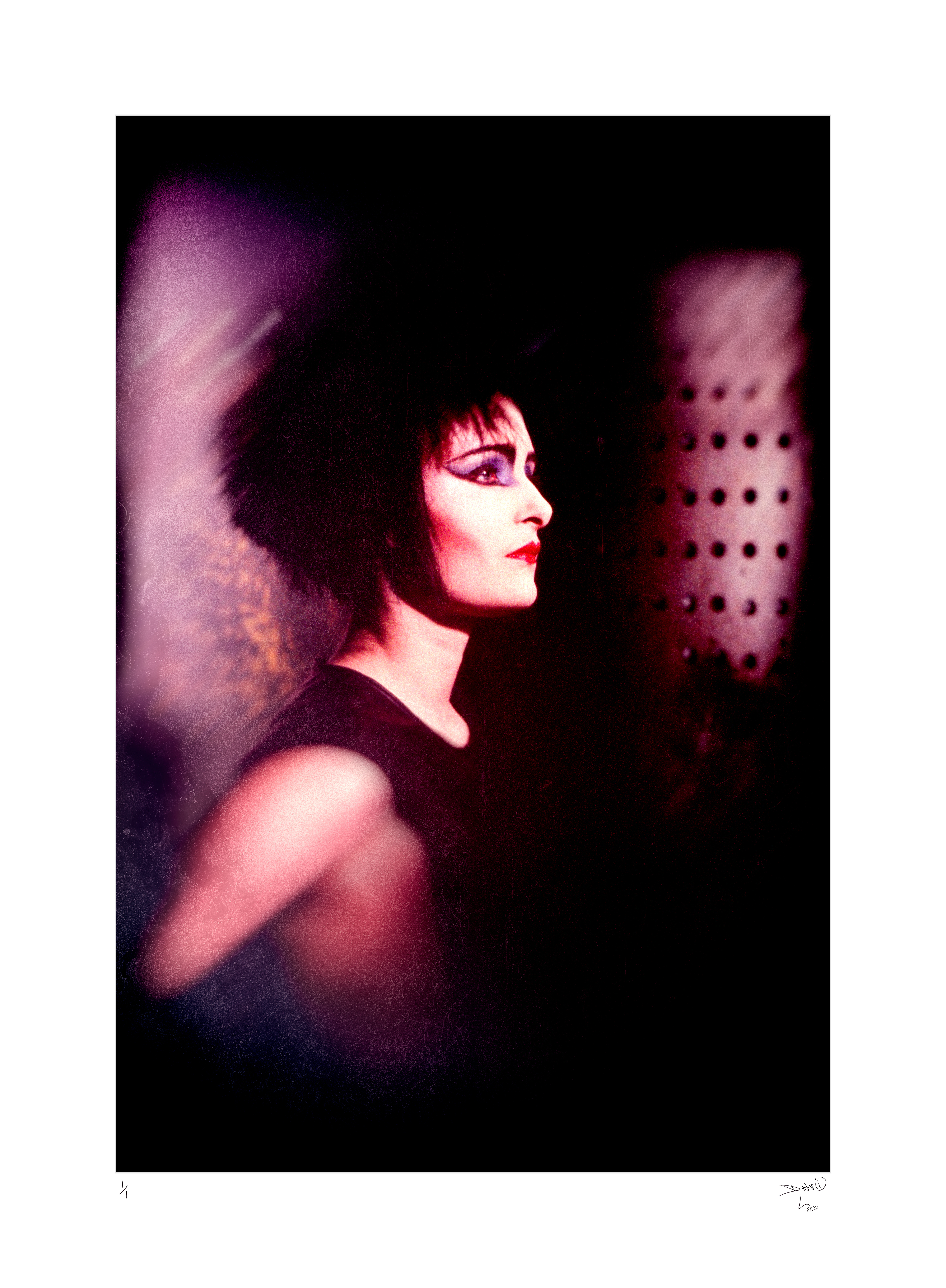 Siouxsie Sioux Foundation
