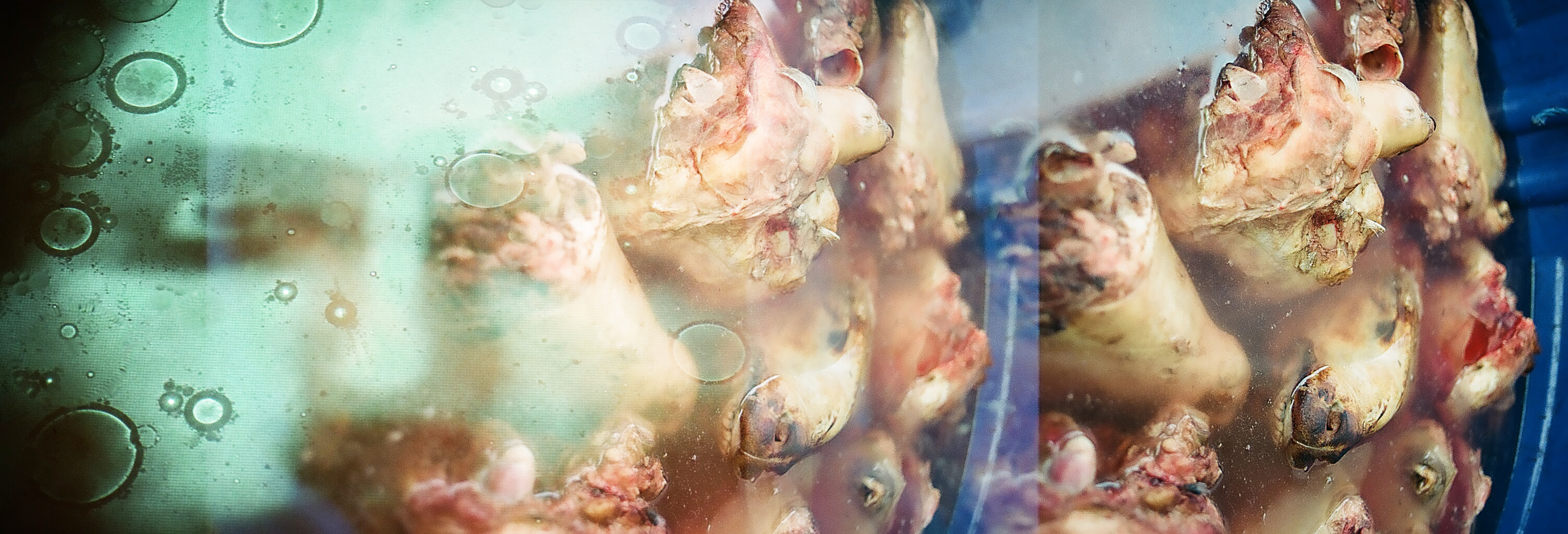 Don't Feel Bad, I'm Usually About to Die!