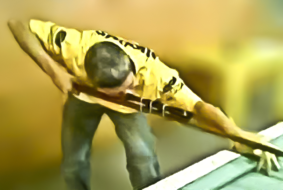 Snooker player ( sniper )