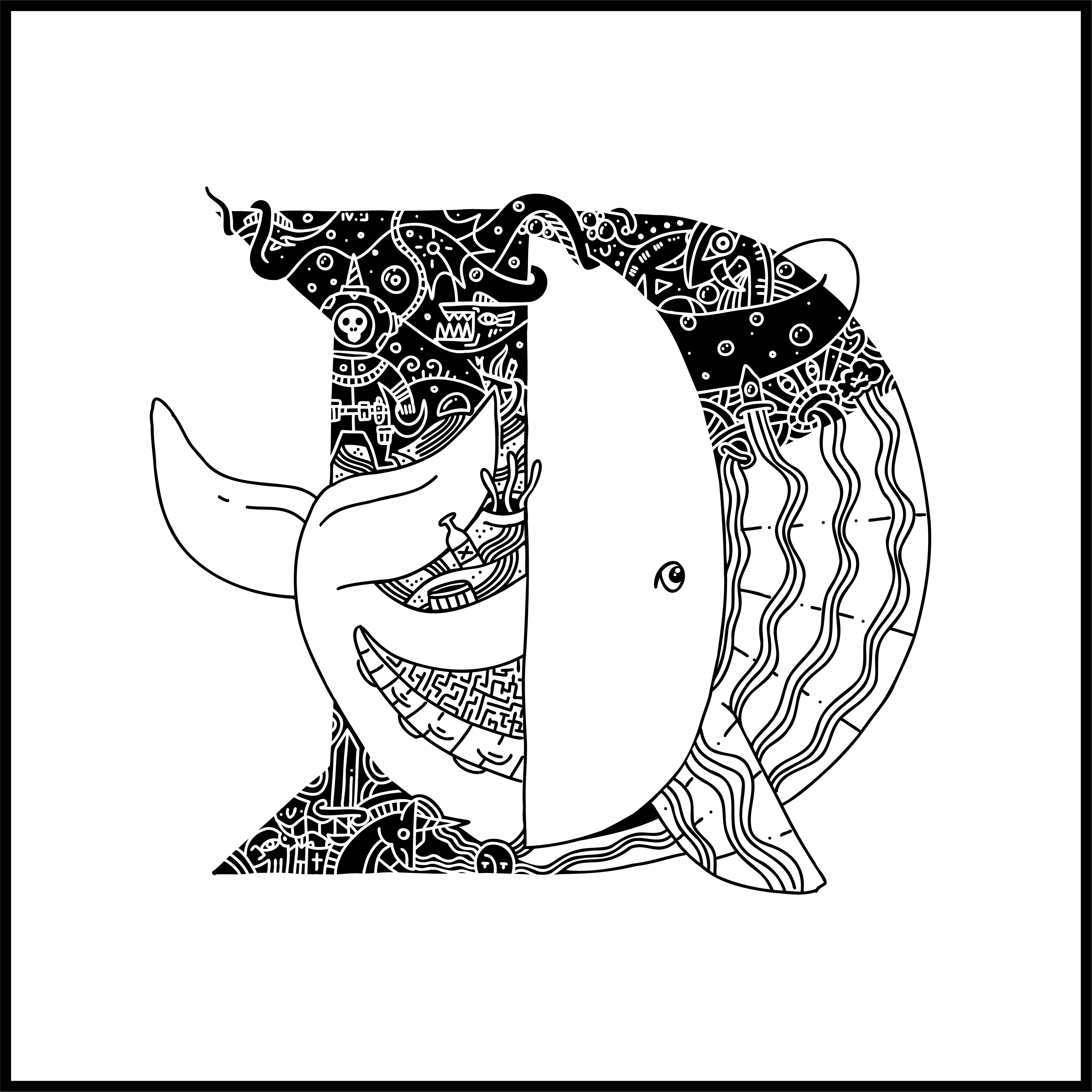 Whalphabet #04 | Letter D | Dimension