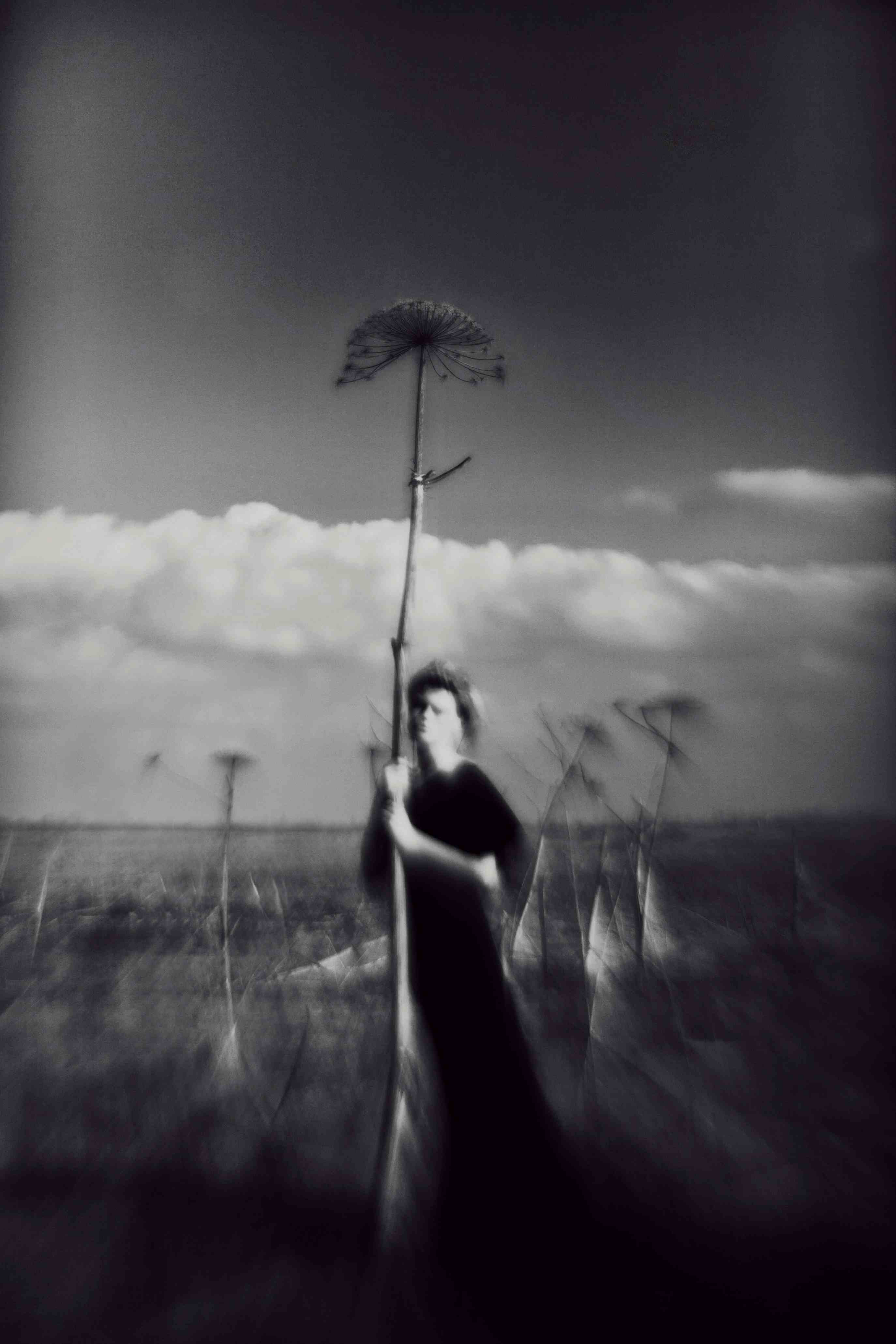 The Skeleton of Poison