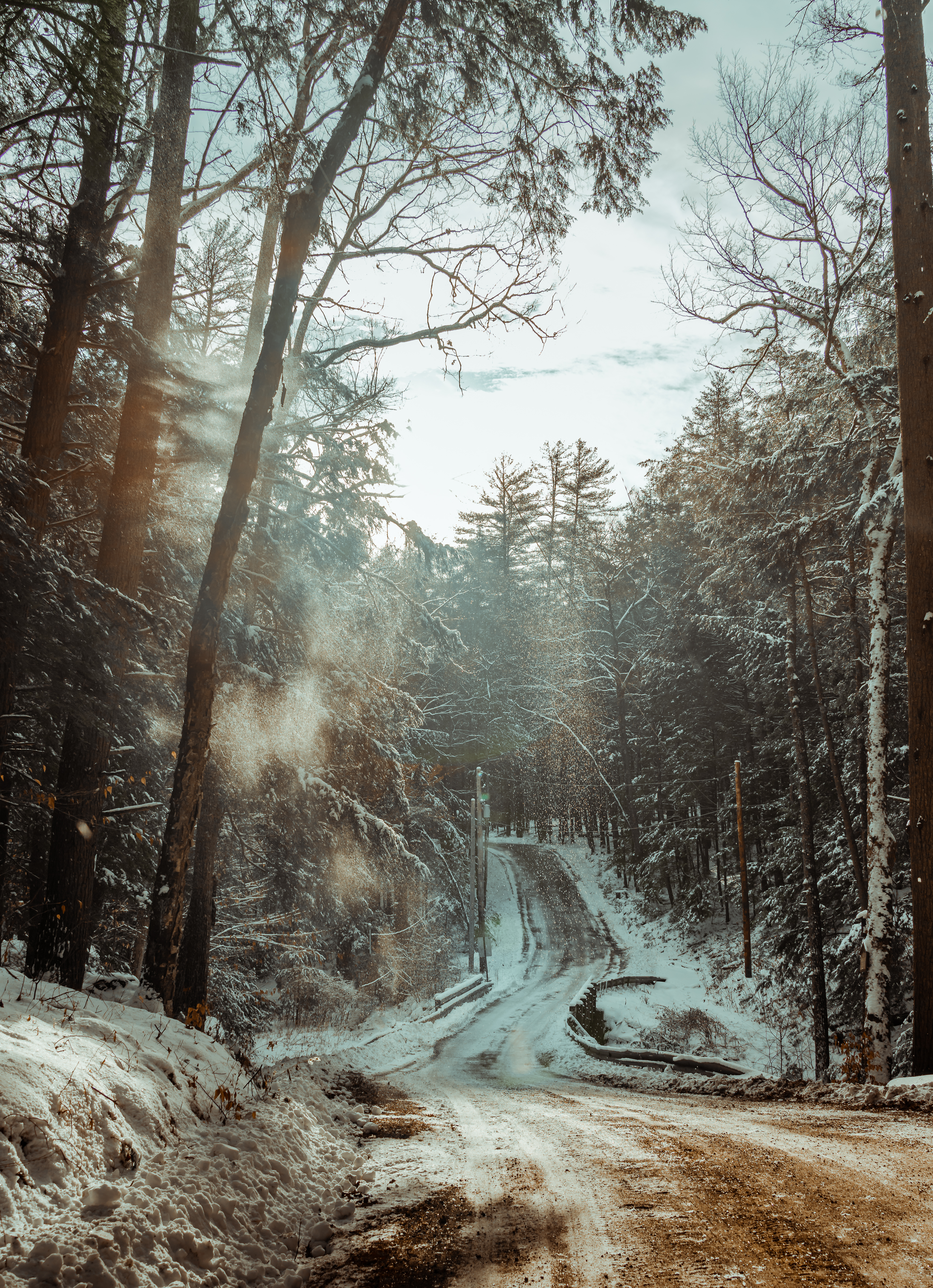 Shelving Rock Road Foundation