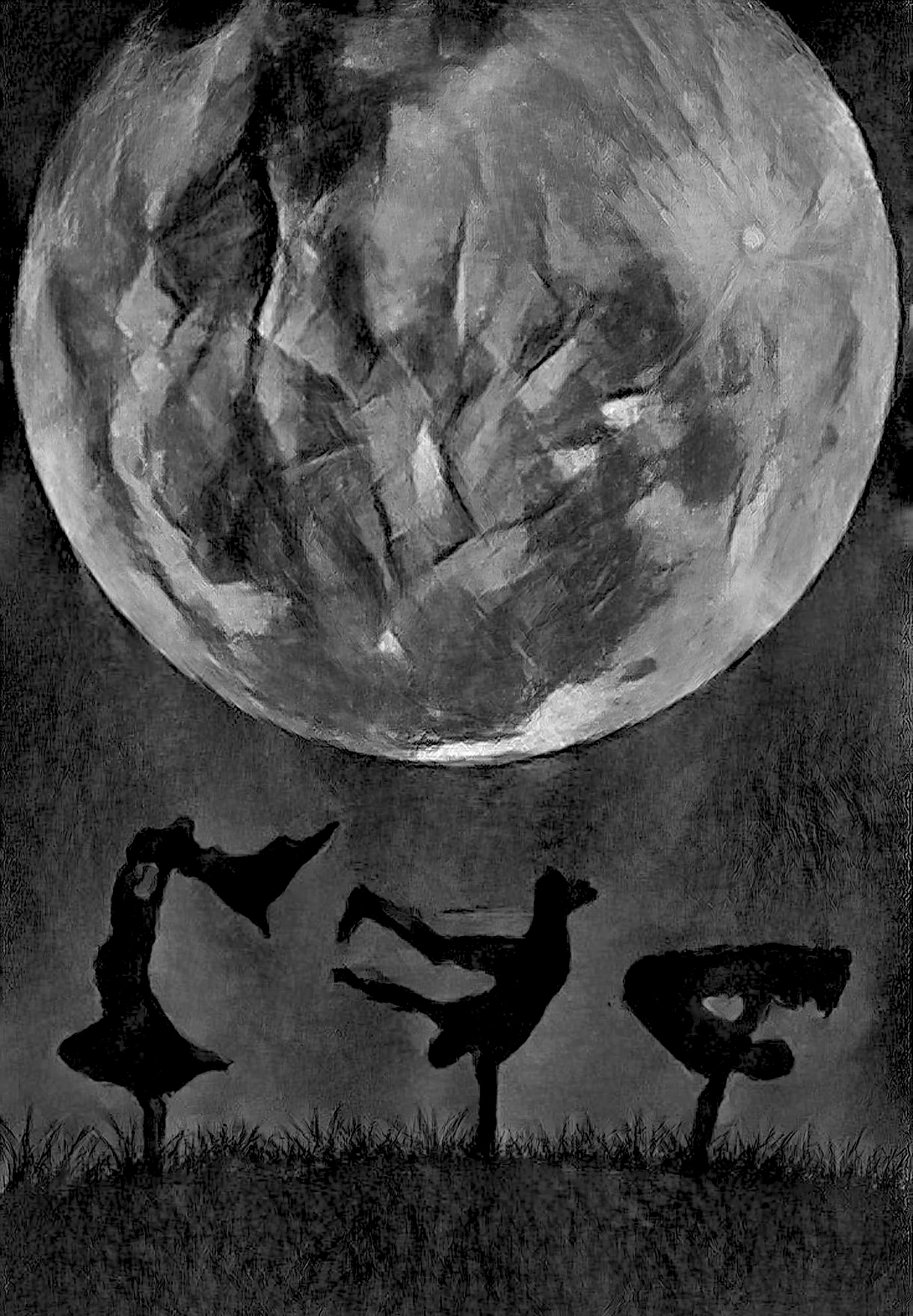 MOONDANCE Foundation