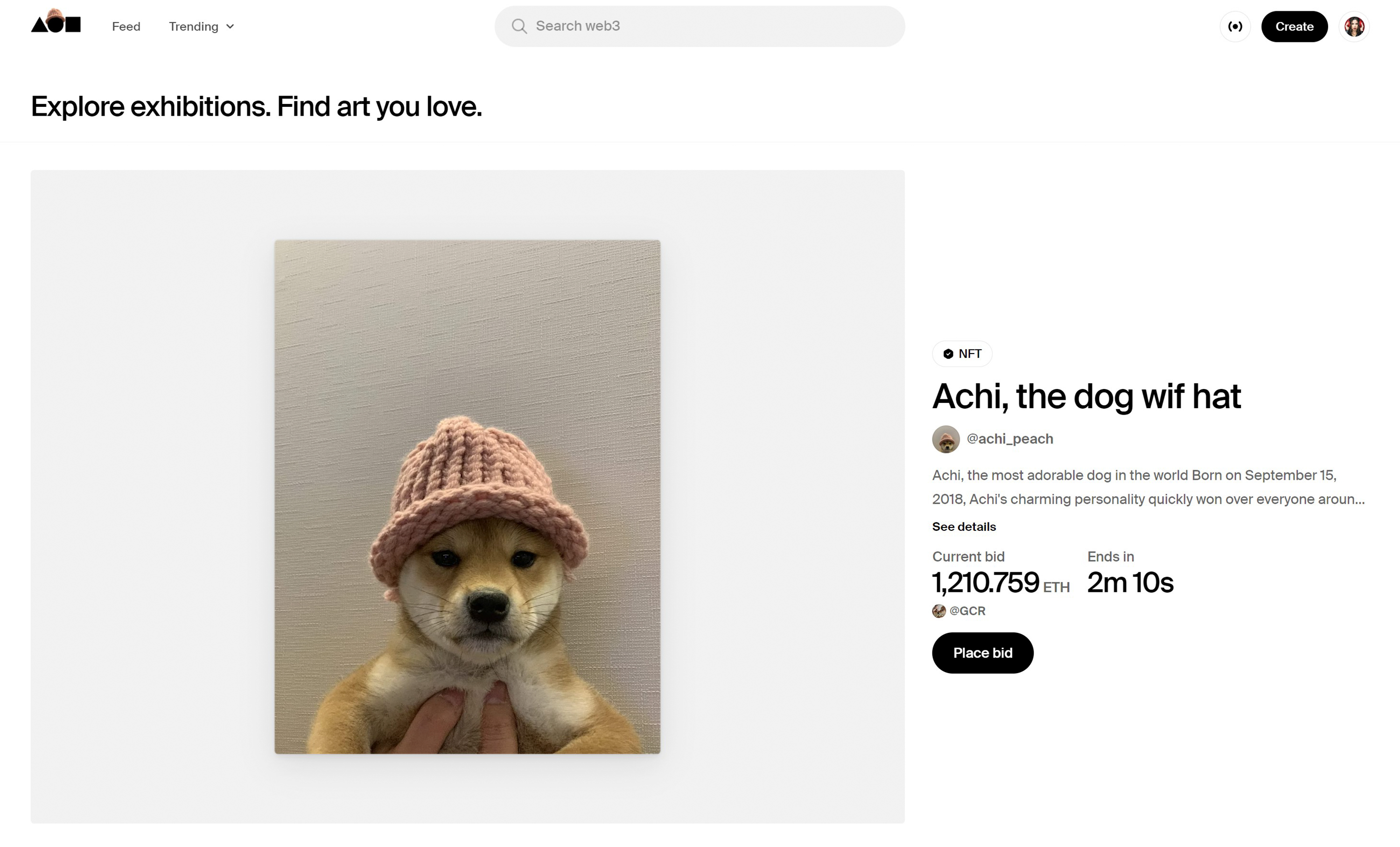 Achi, the dog wif hat and her historical auction | Foundation
